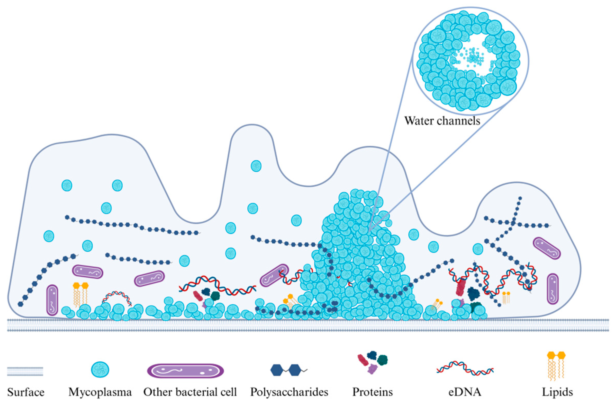 Microorganisms 13 01850 g002
