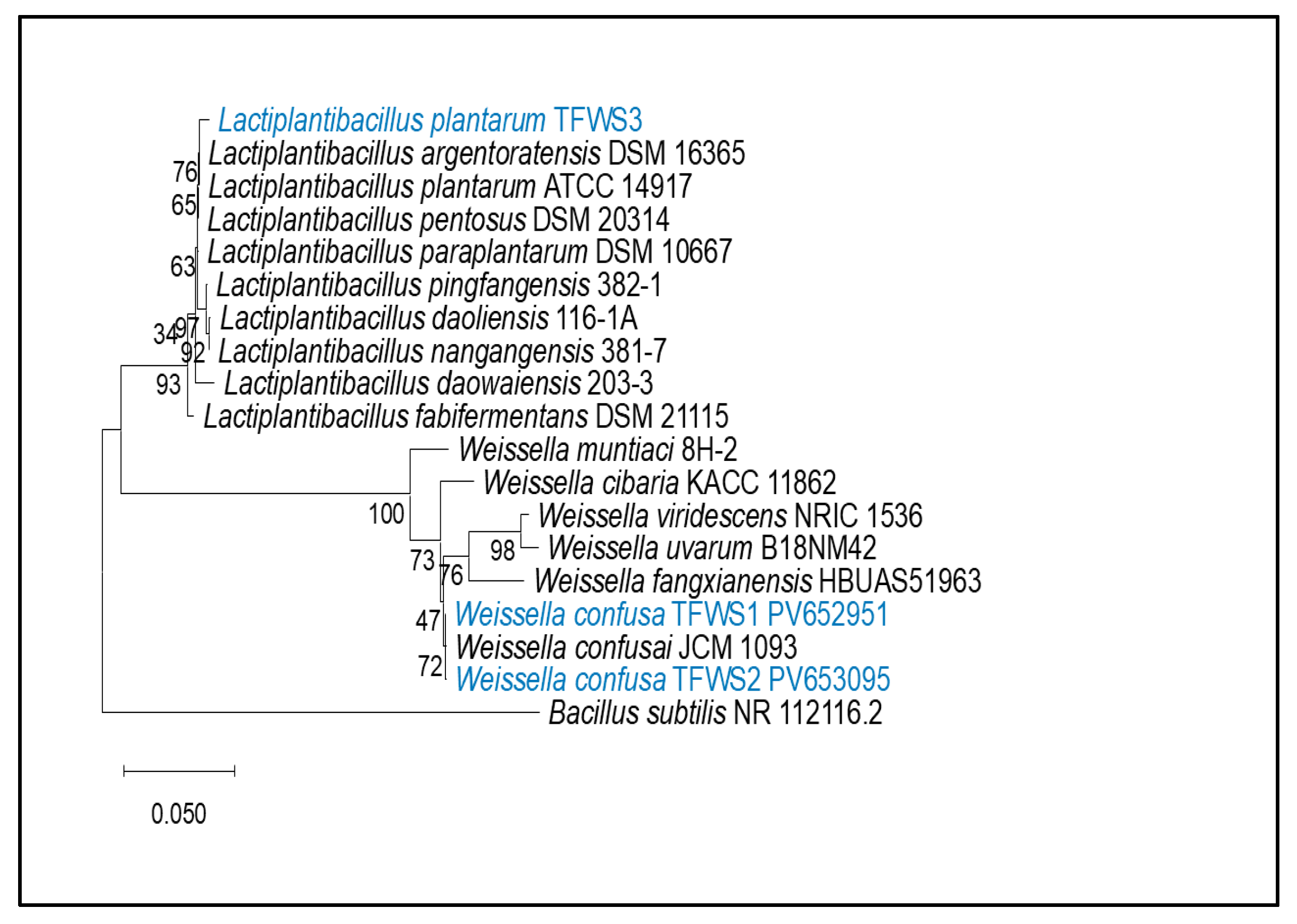 Microorganisms 13 01852 g001 Microorganisms 13 01852 g001
