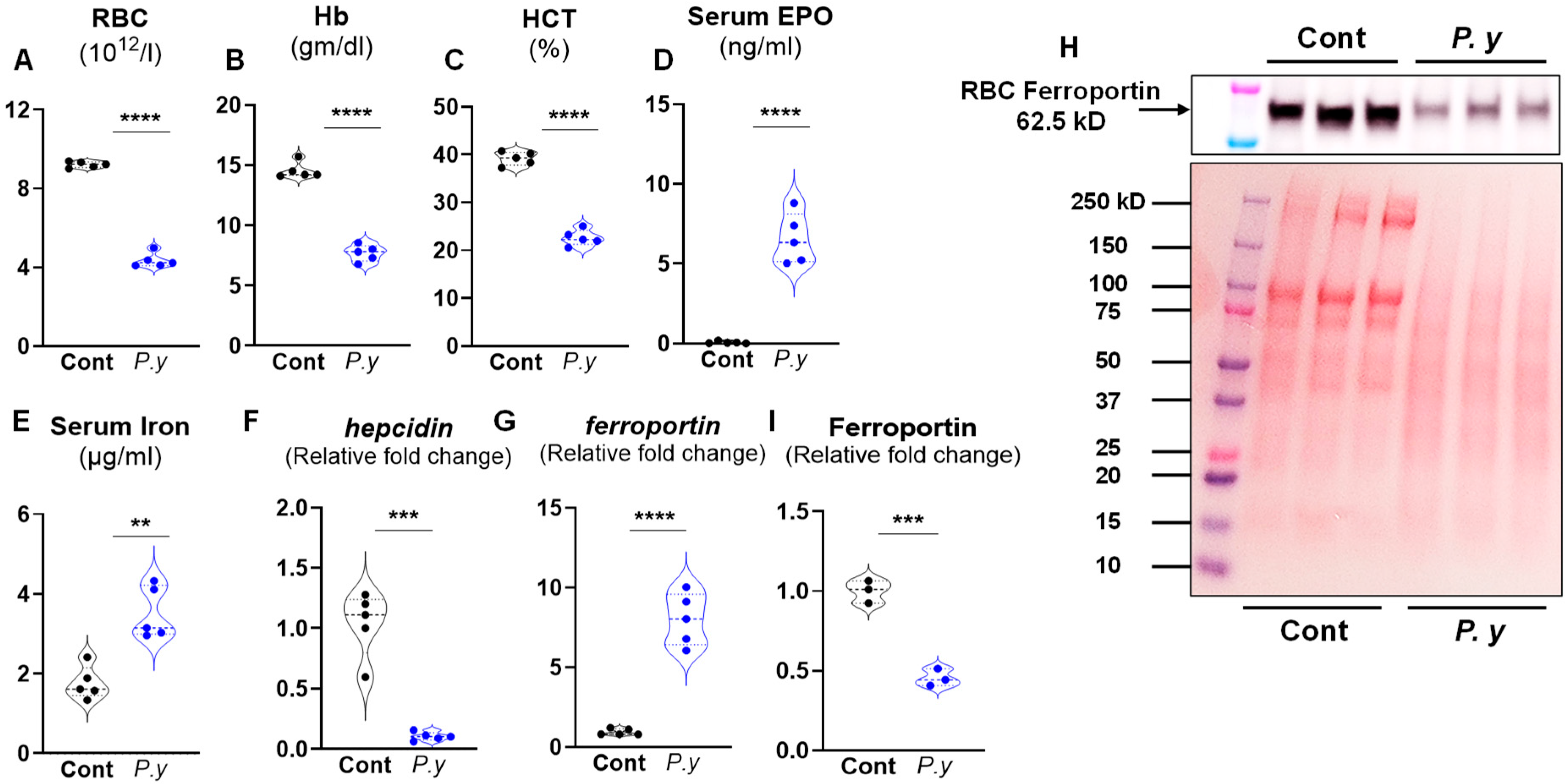 Microorganisms 13 01859 g001
