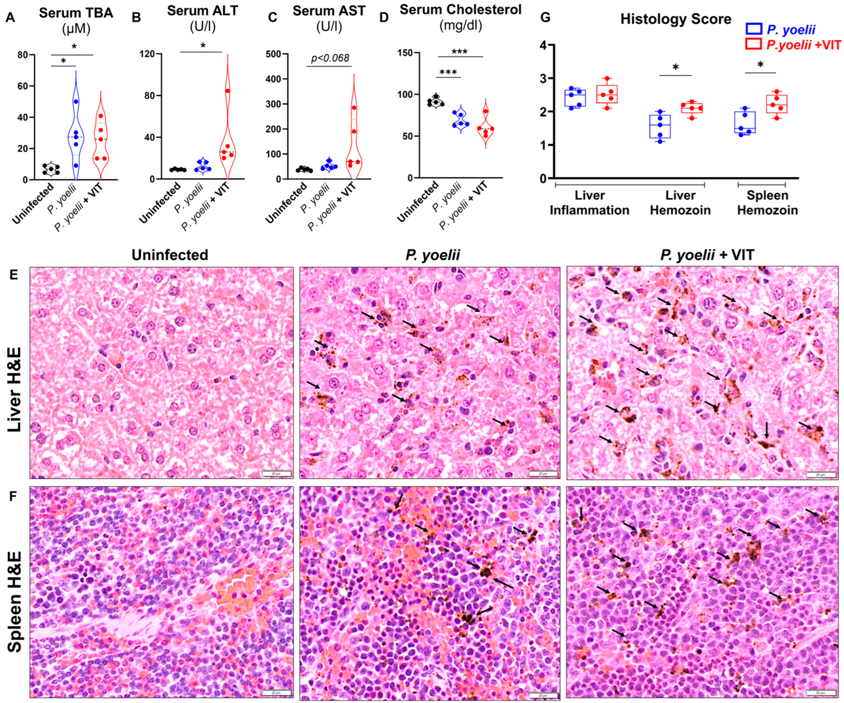 Microorganisms 13 01859 g005