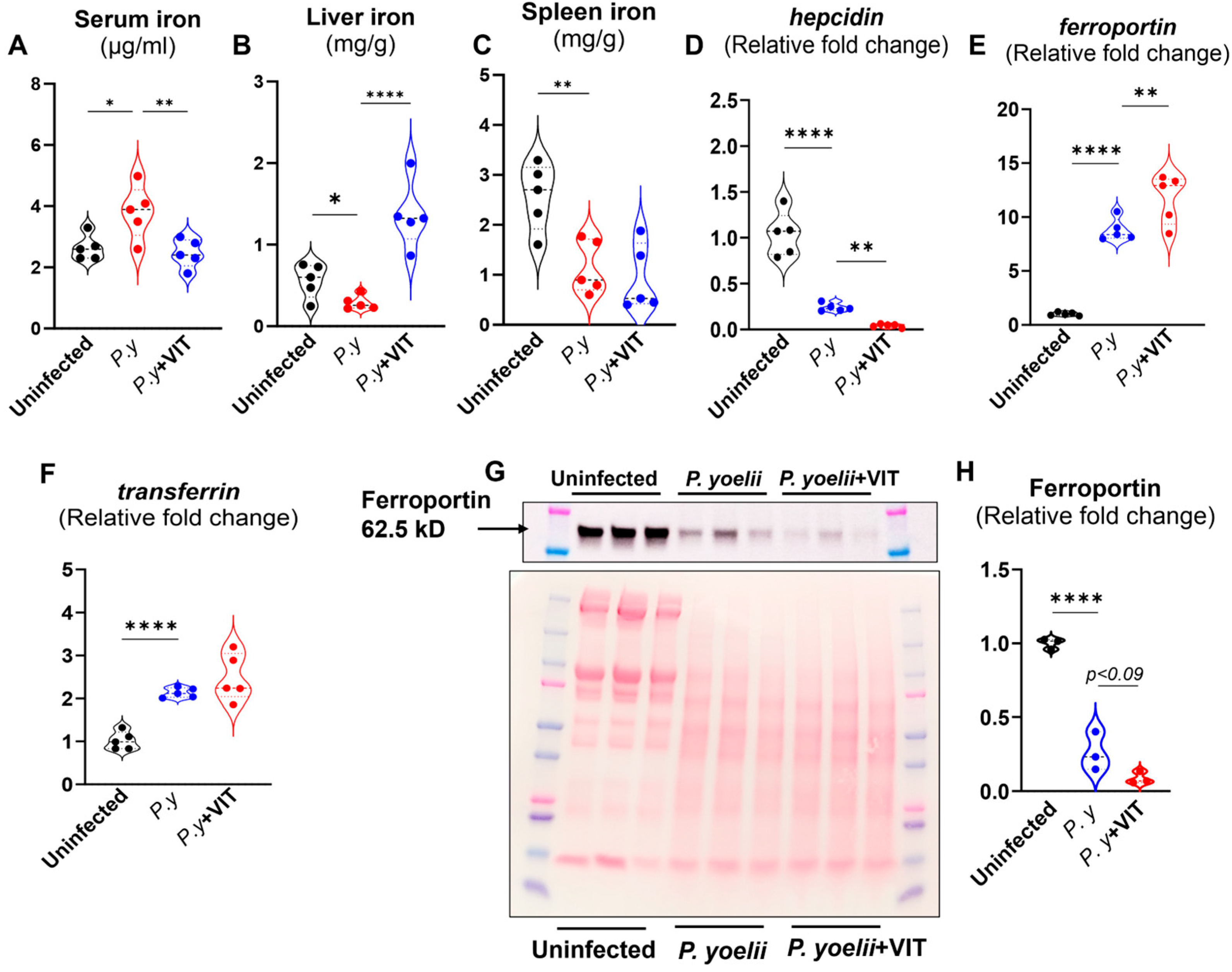 Microorganisms 13 01859 g006