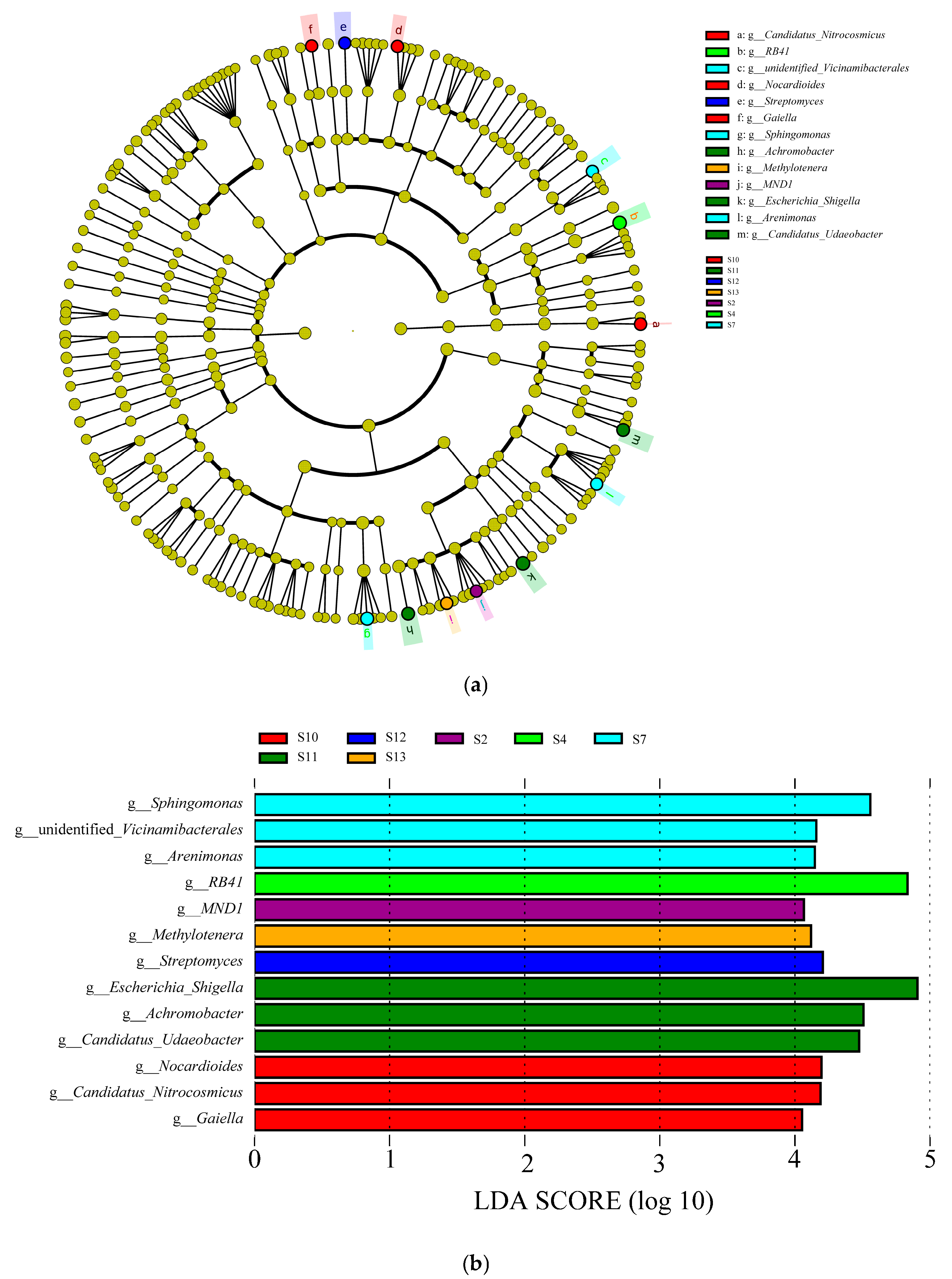 Microorganisms 13 01860 g004
