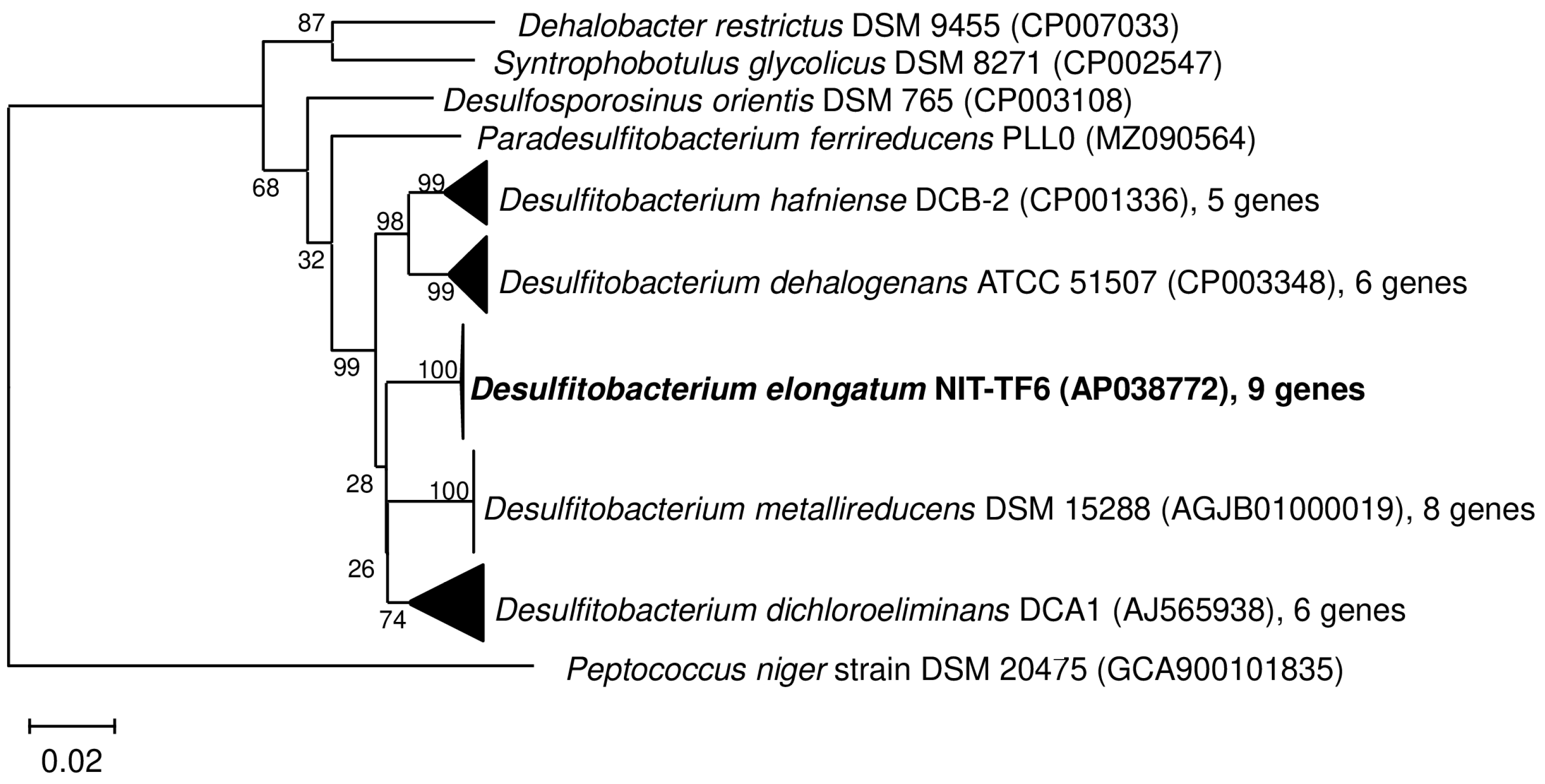 Microorganisms 13 01863 g002 Microorganisms 13 01863 g002