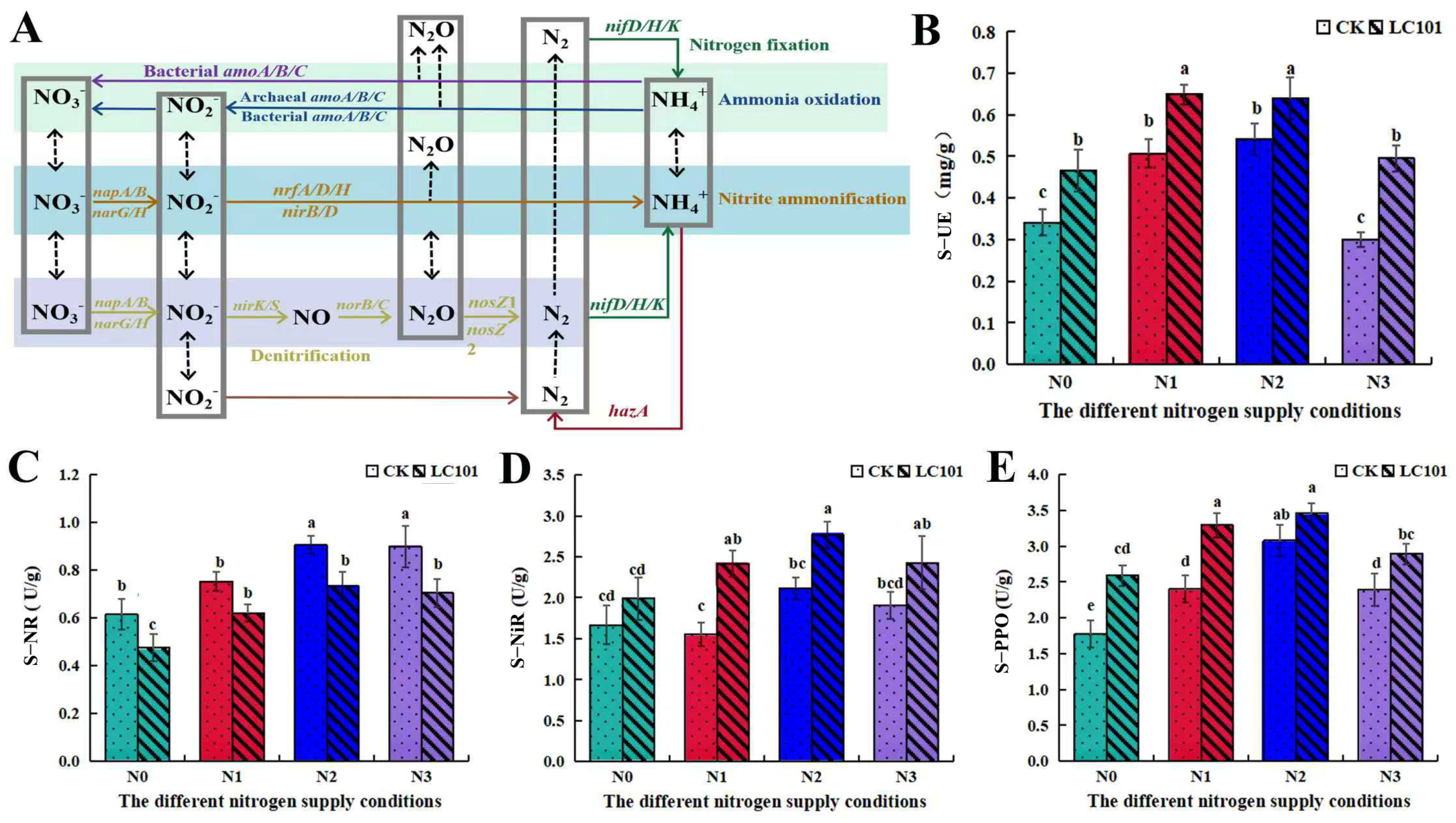 Microorganisms 13 01864 g006