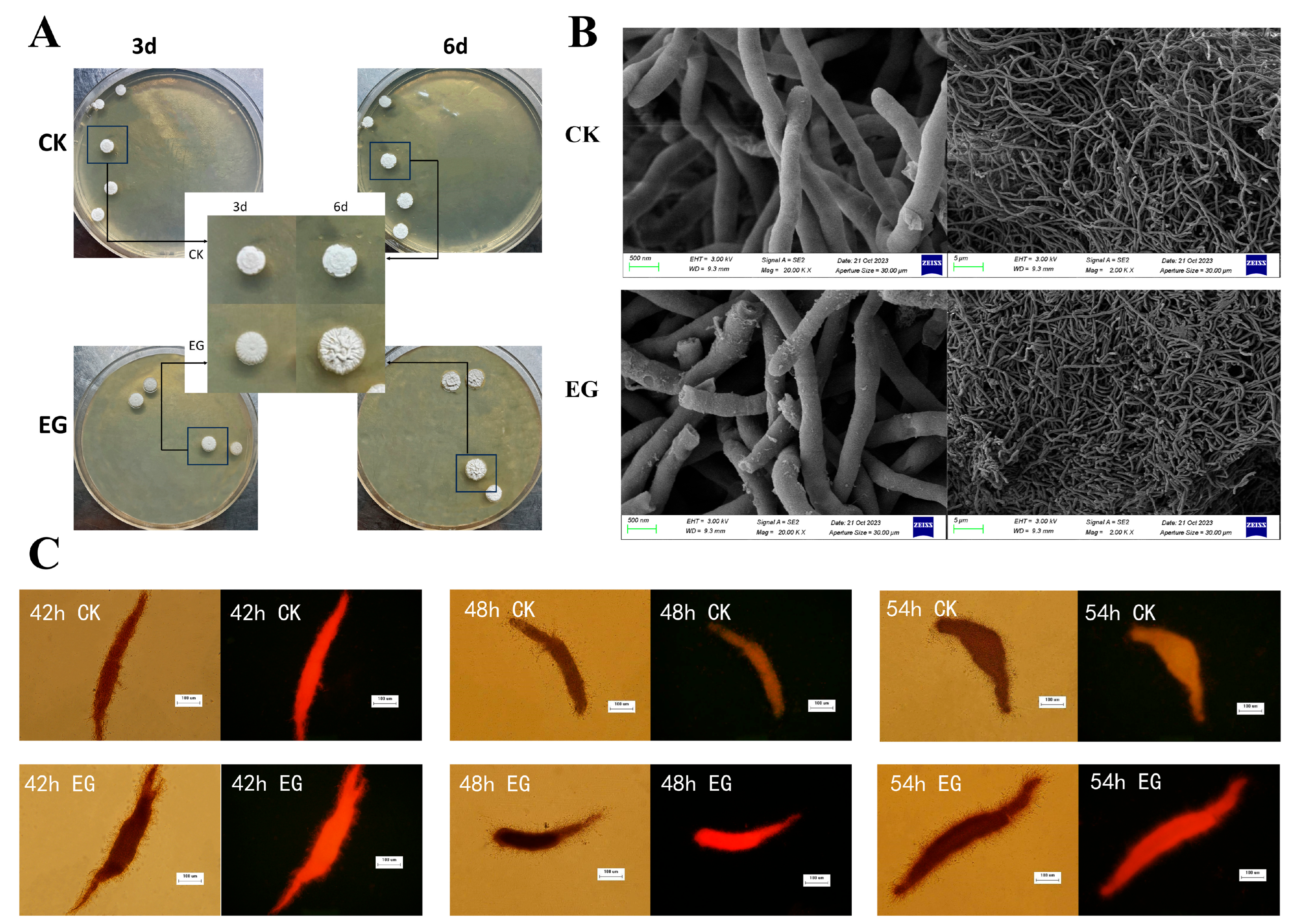 Microorganisms 13 01868 g003