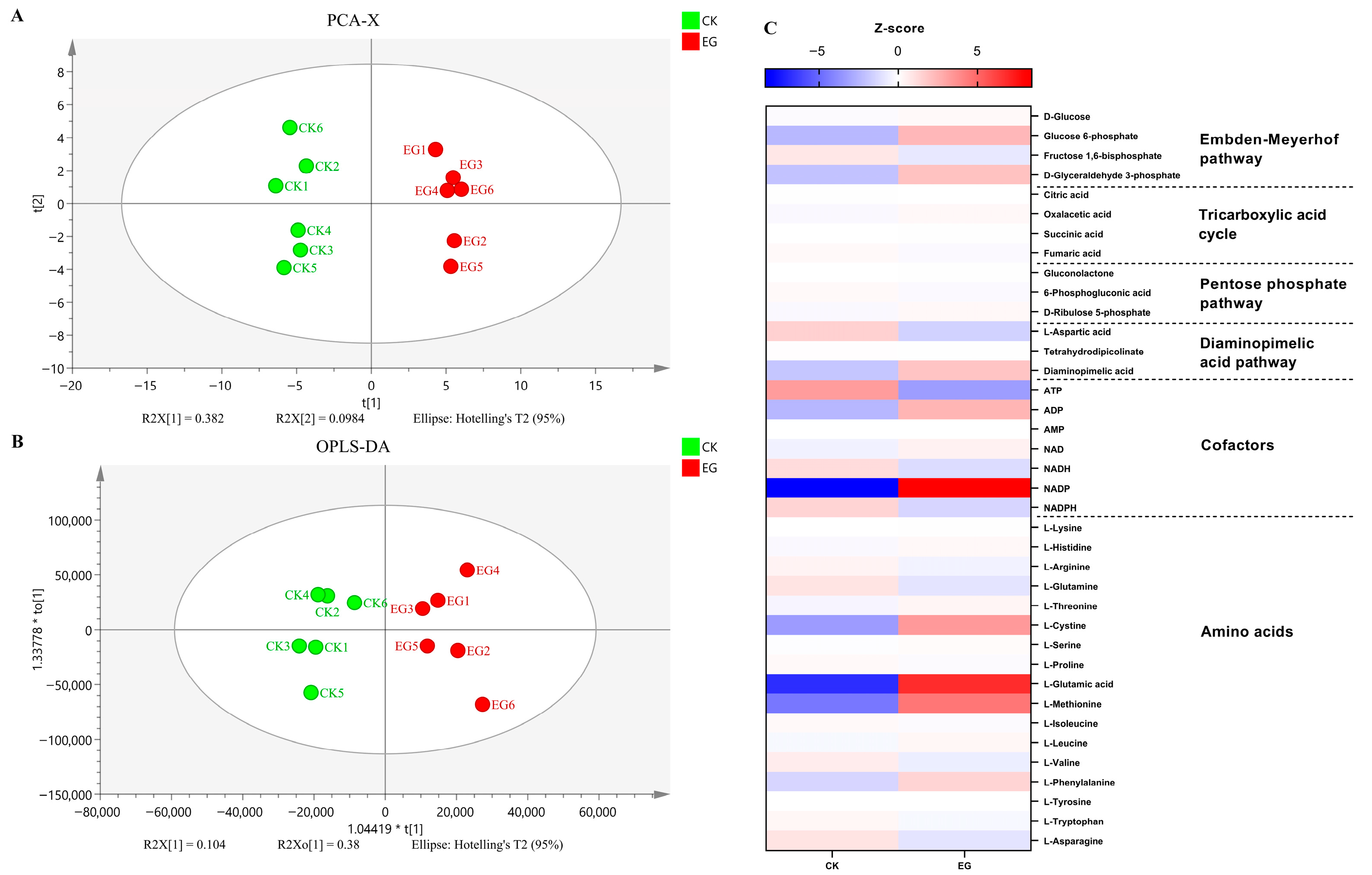Microorganisms 13 01868 g006