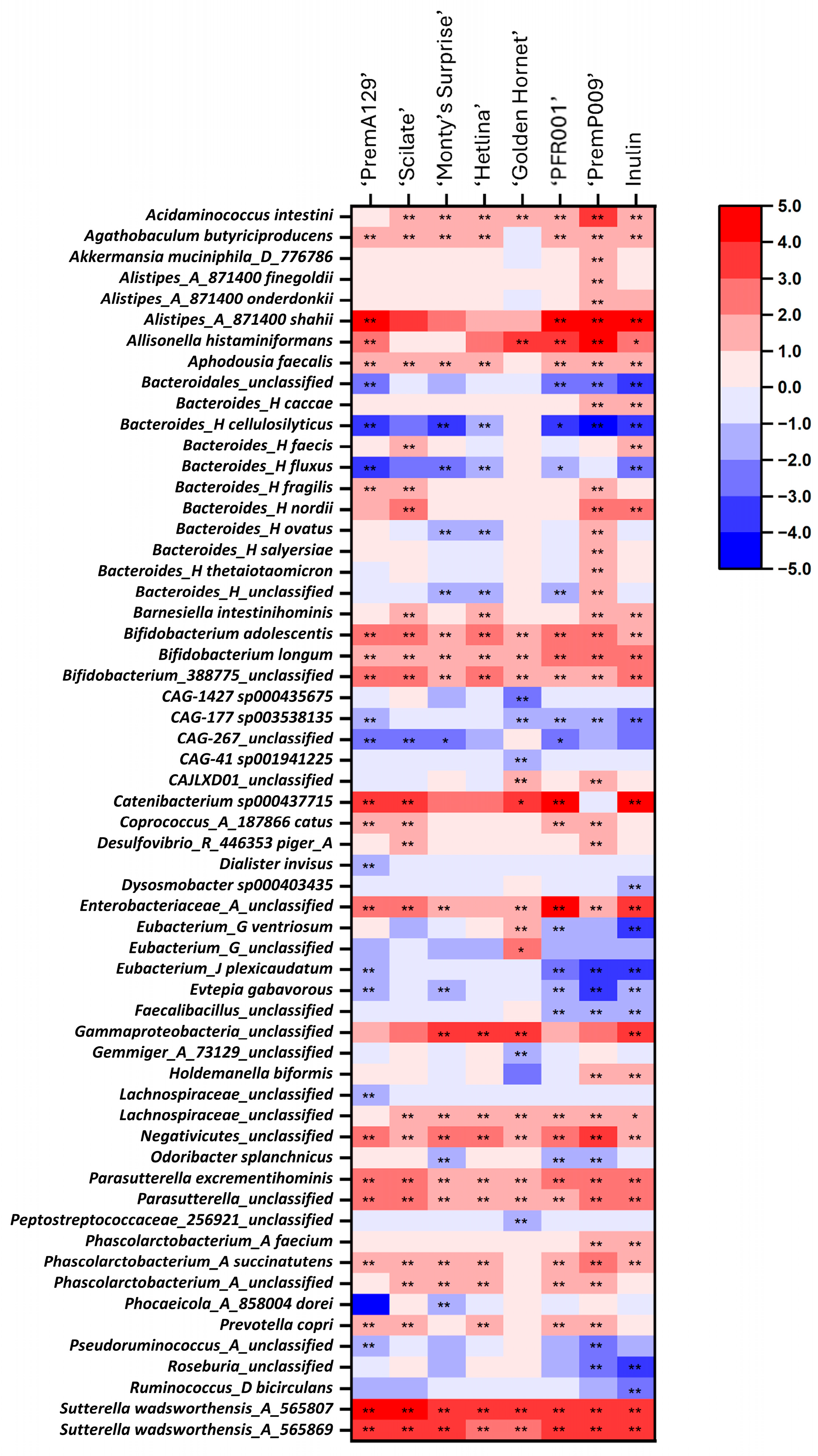 Microorganisms 13 01870 g007