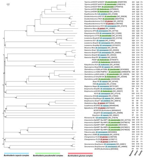 Microorganisms 13 01873 g001