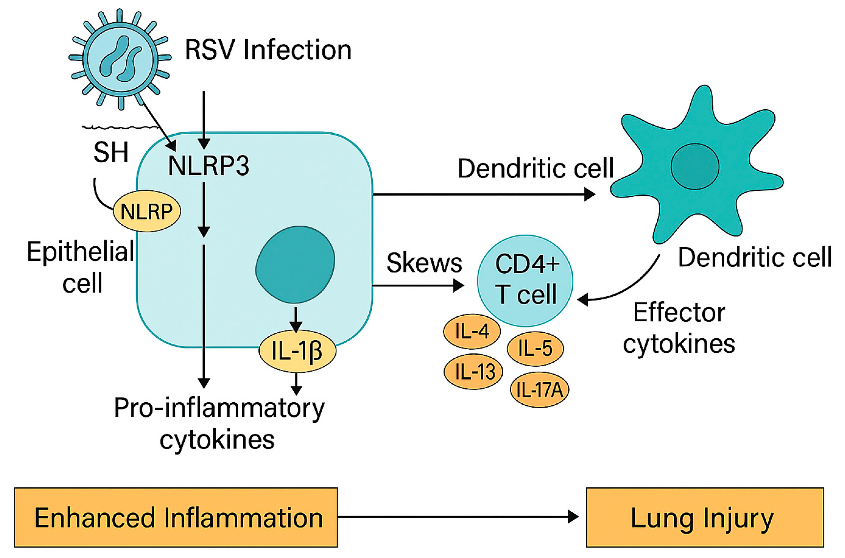 Microorganisms 13 01876 g003