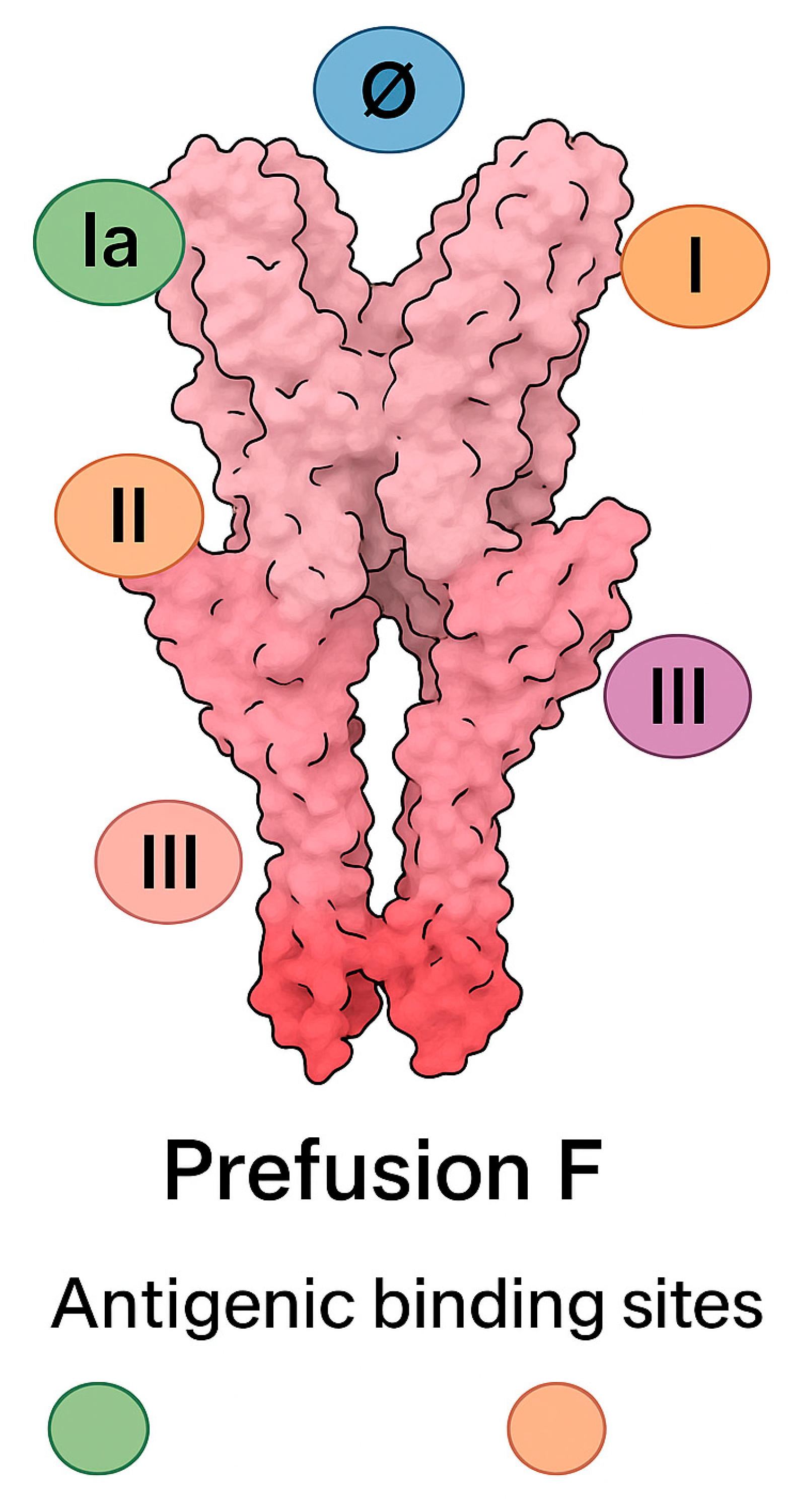 Microorganisms 13 01876 g004