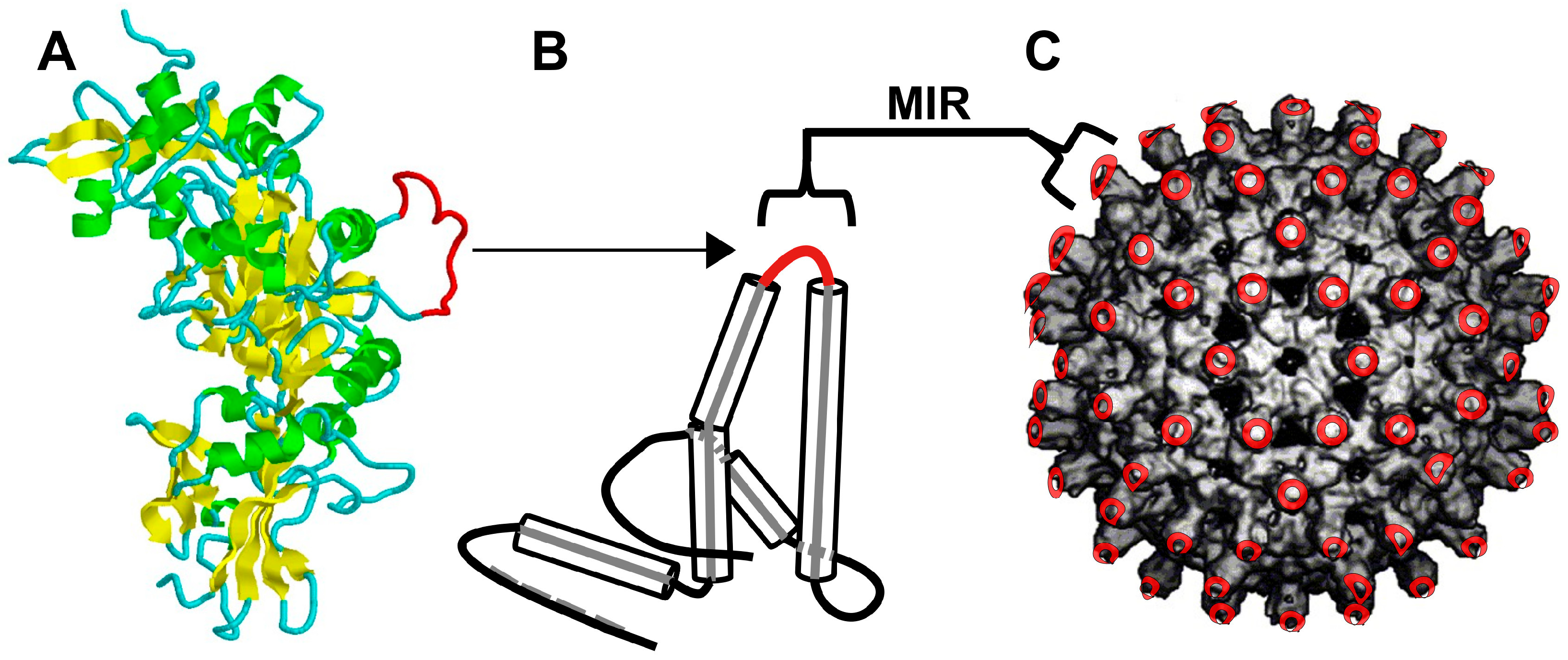 Microorganisms 13 01878 g001