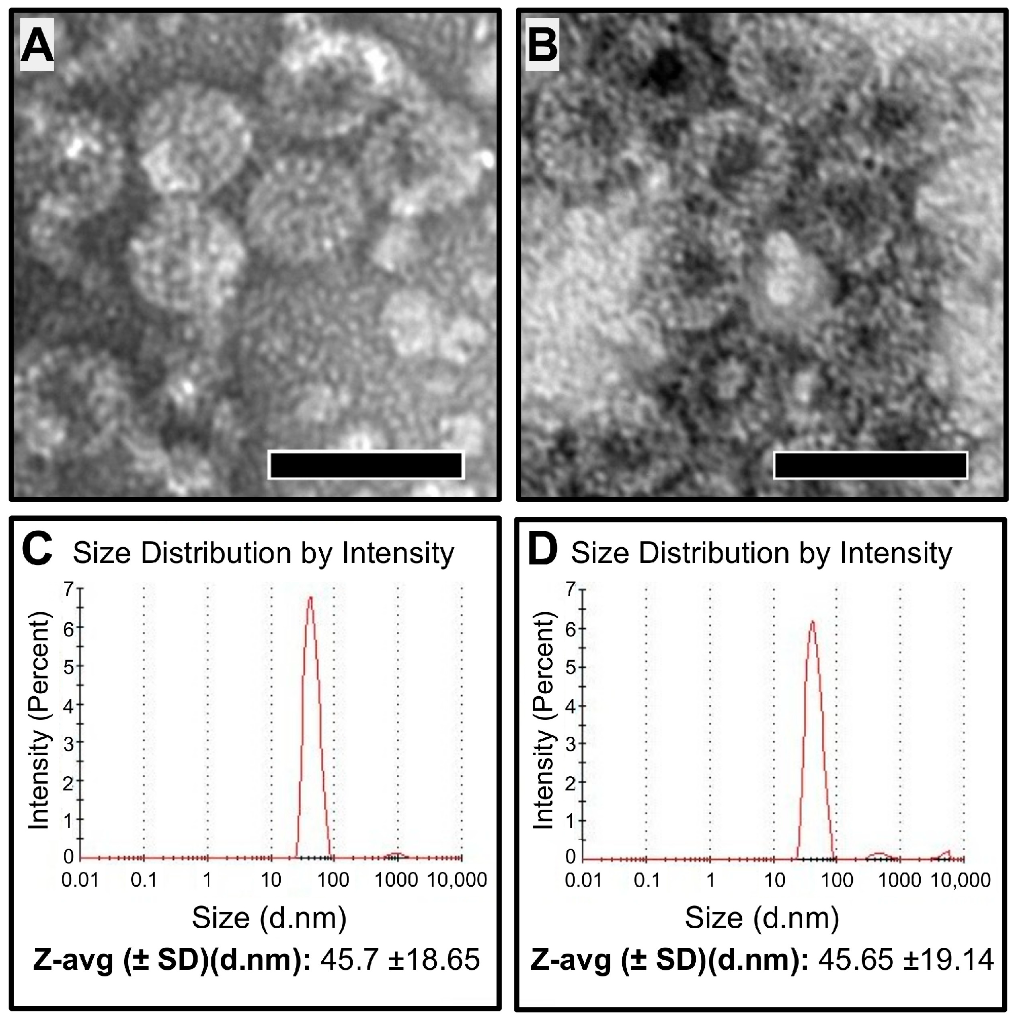Microorganisms 13 01878 g006