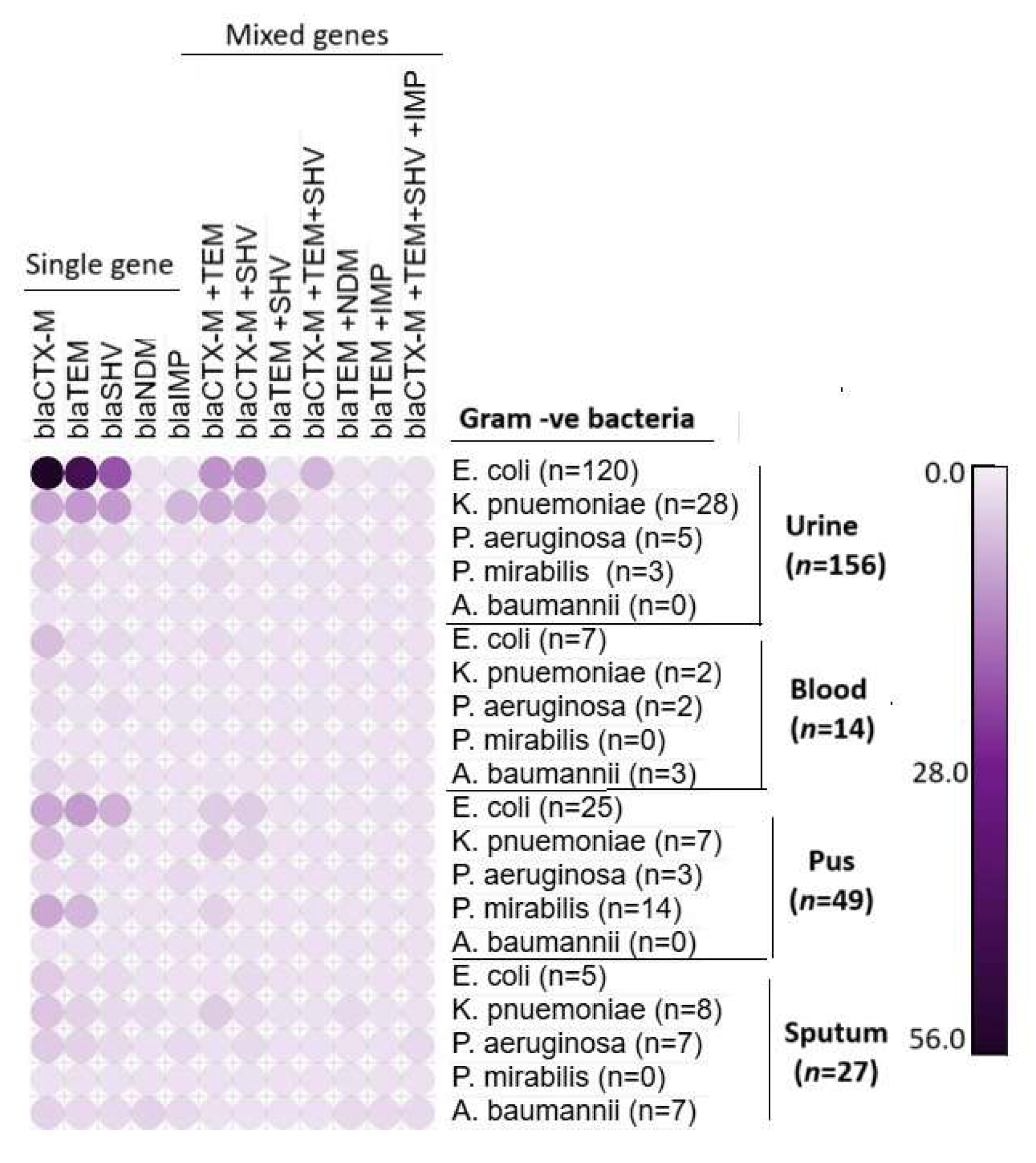 Microorganisms 13 01880 g005 Microorganisms 13 01880 g005
