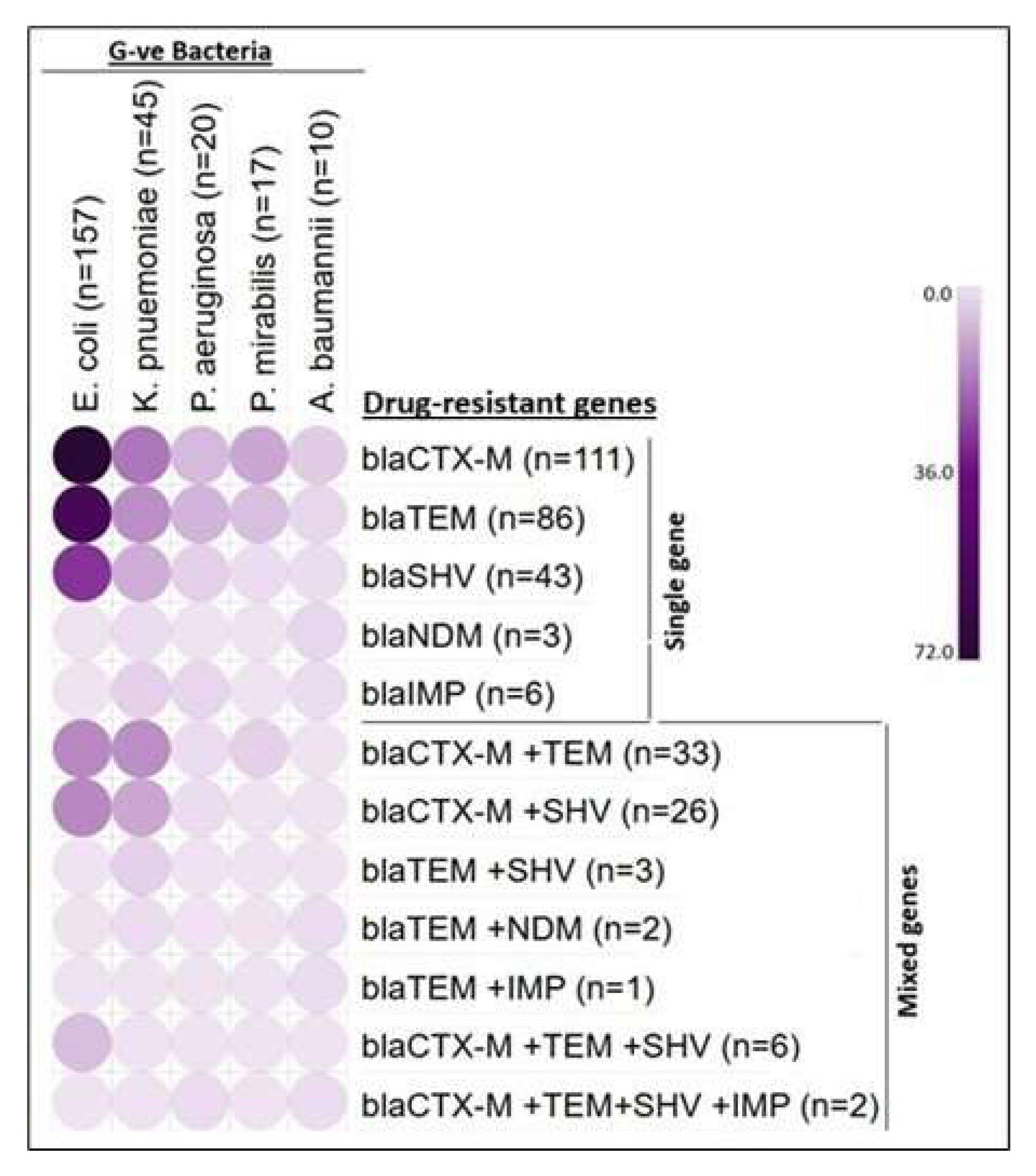 Microorganisms 13 01880 g006 Microorganisms 13 01880 g006