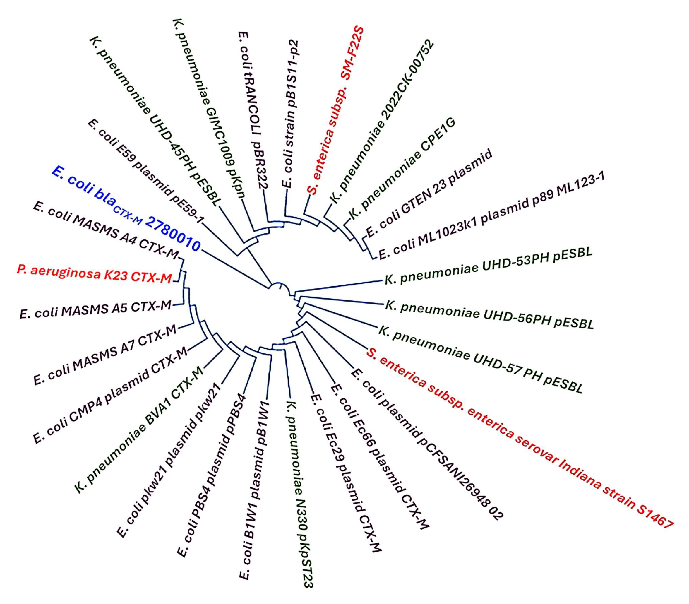 Microorganisms 13 01880 g007 Microorganisms 13 01880 g007