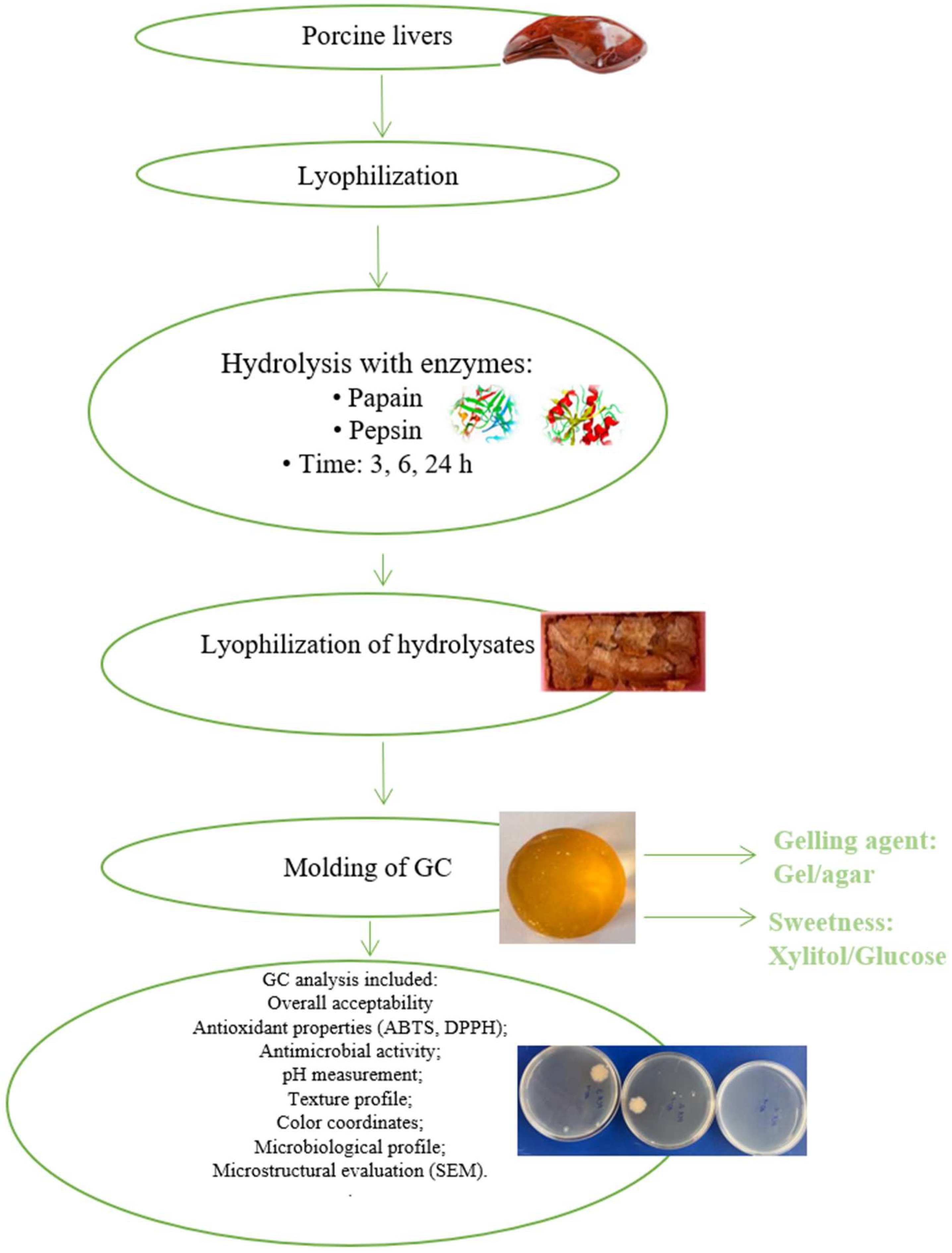 Microorganisms 13 01882 g001 Microorganisms 13 01882 g001