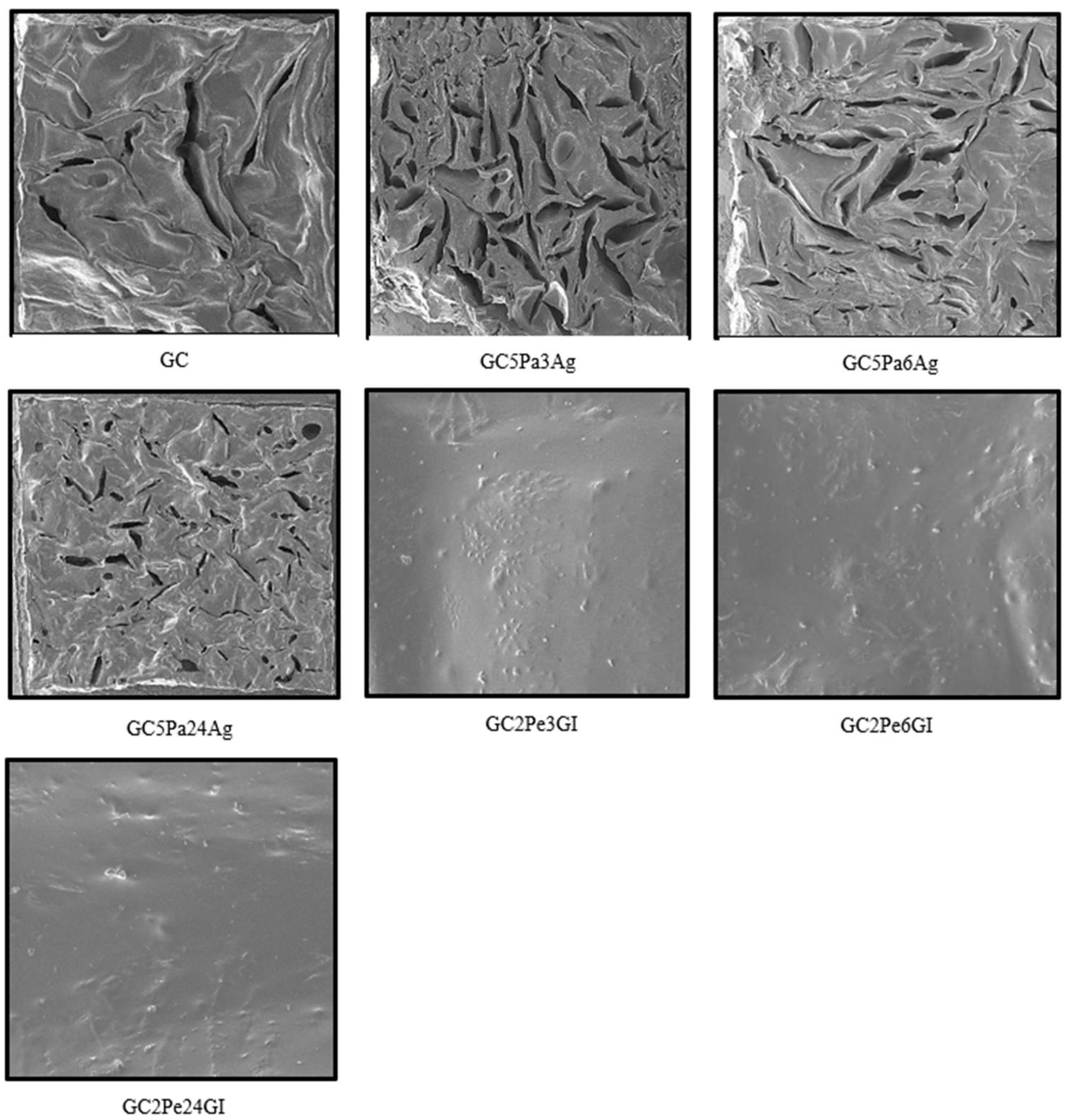 Microorganisms 13 01882 g003 Microorganisms 13 01882 g003