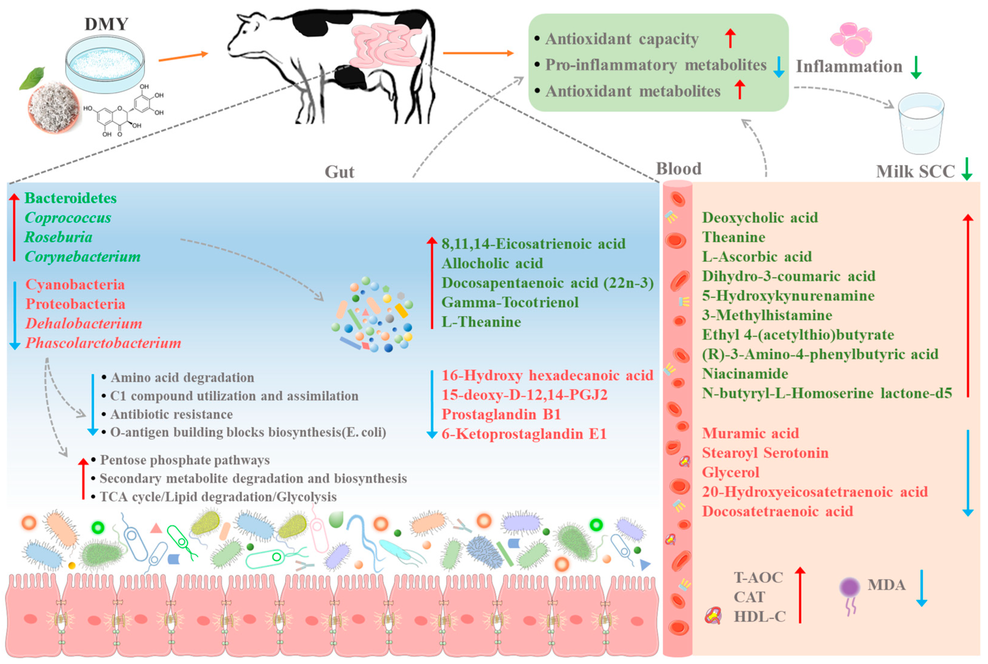 Microorganisms 13 01890 g009