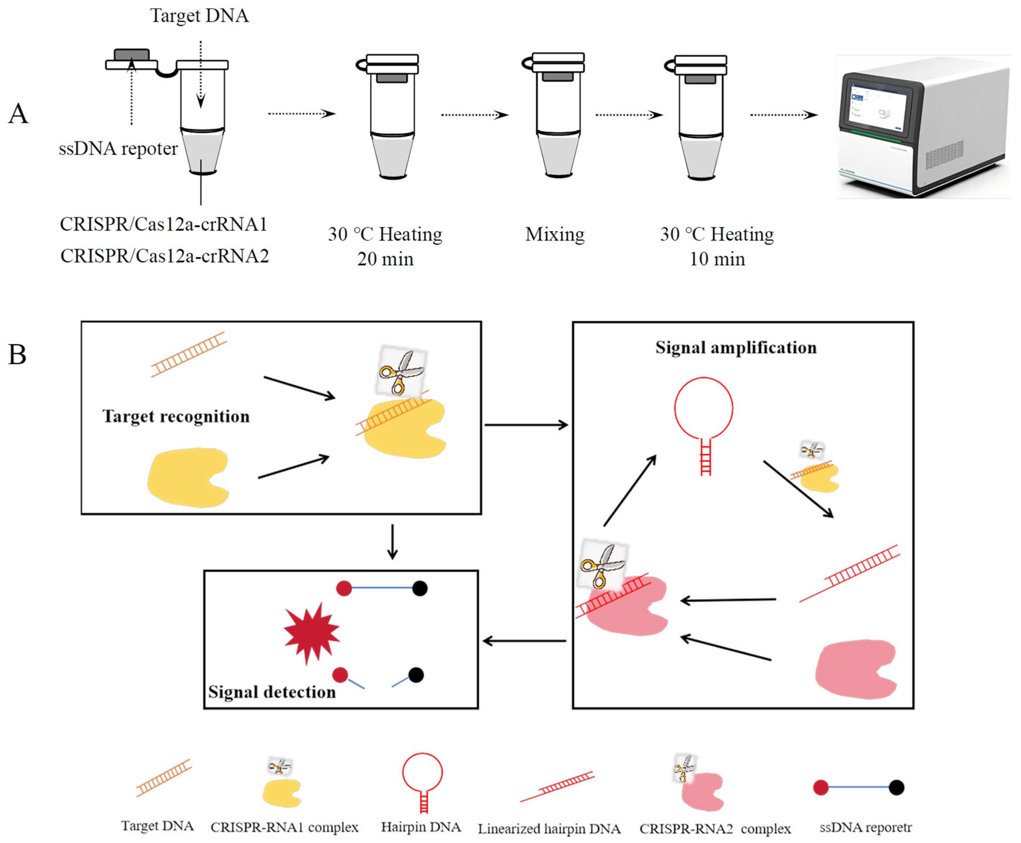 Microorganisms 13 01896 g001 Microorganisms 13 01896 g001