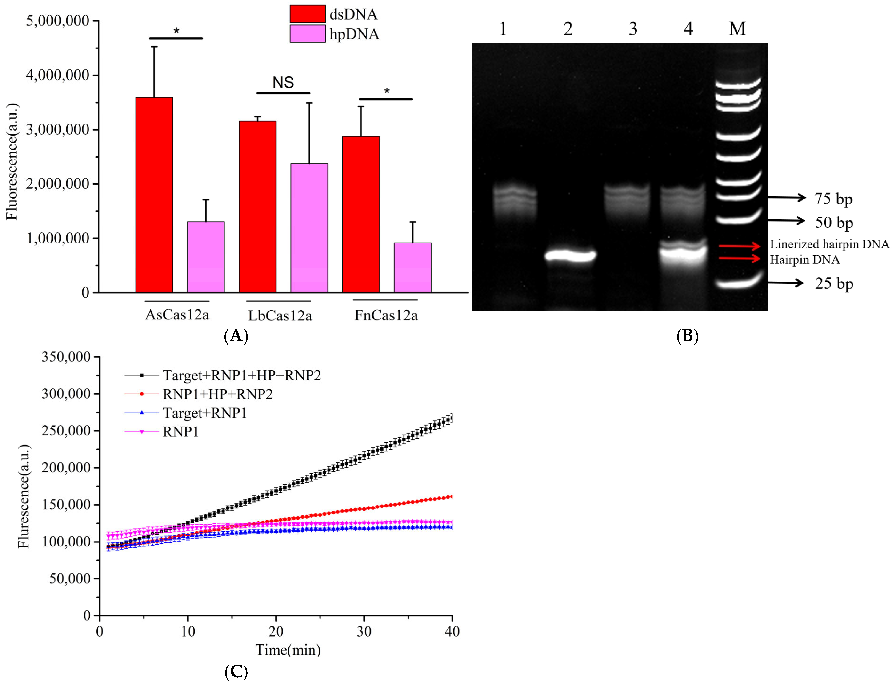 Microorganisms 13 01896 g002 Microorganisms 13 01896 g002
