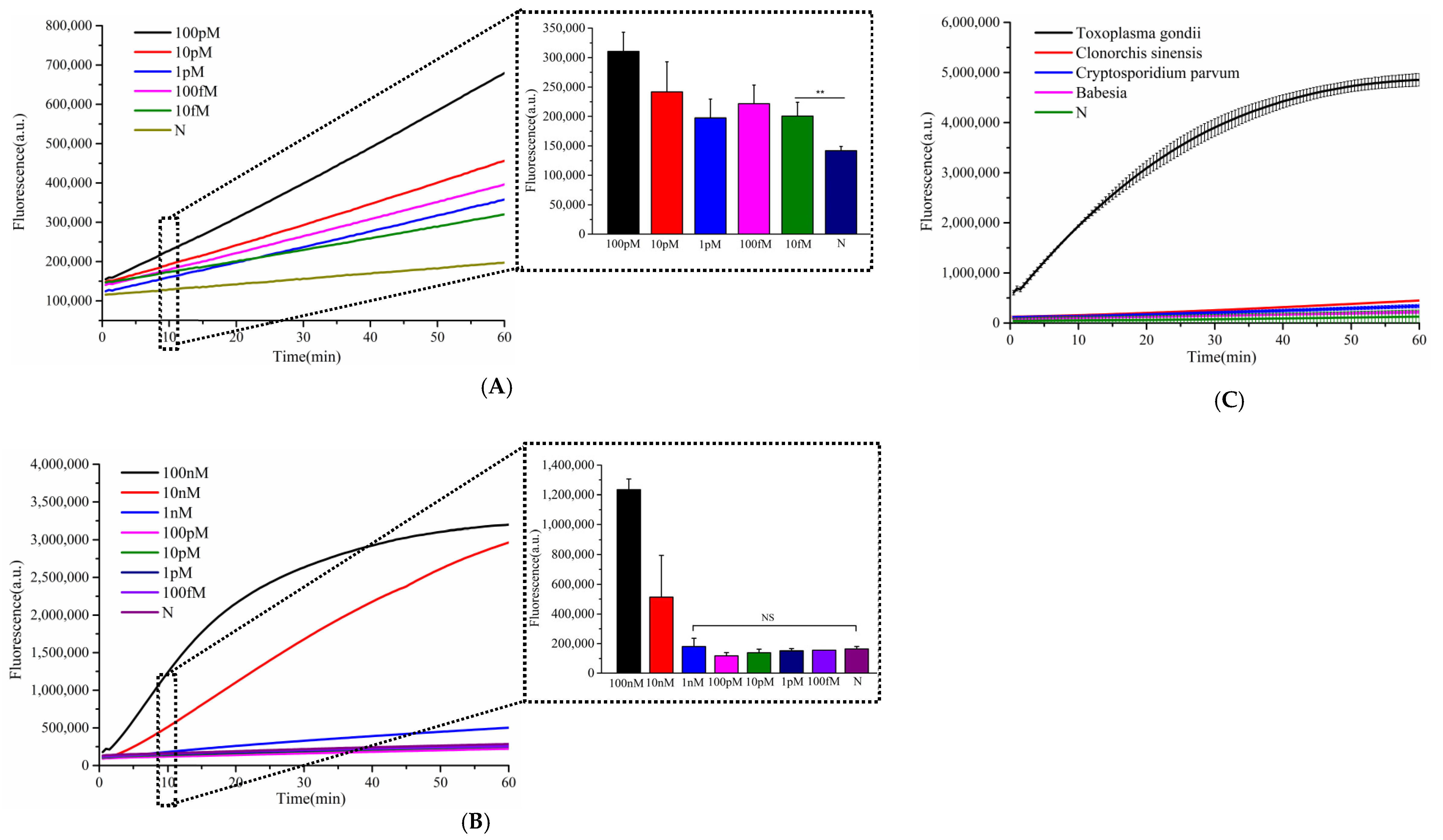 Microorganisms 13 01896 g004 Microorganisms 13 01896 g004