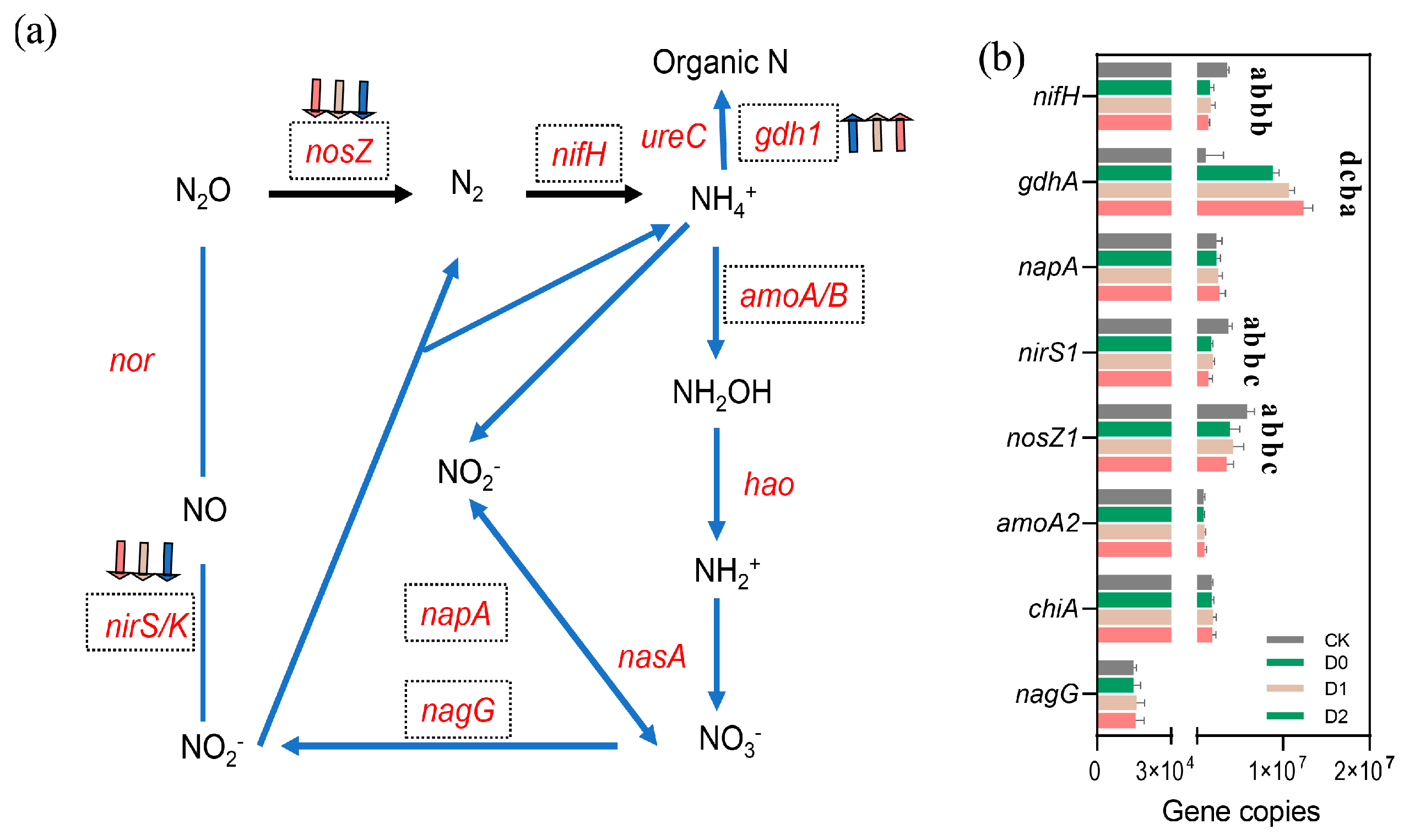 Microorganisms 13 01897 g006
