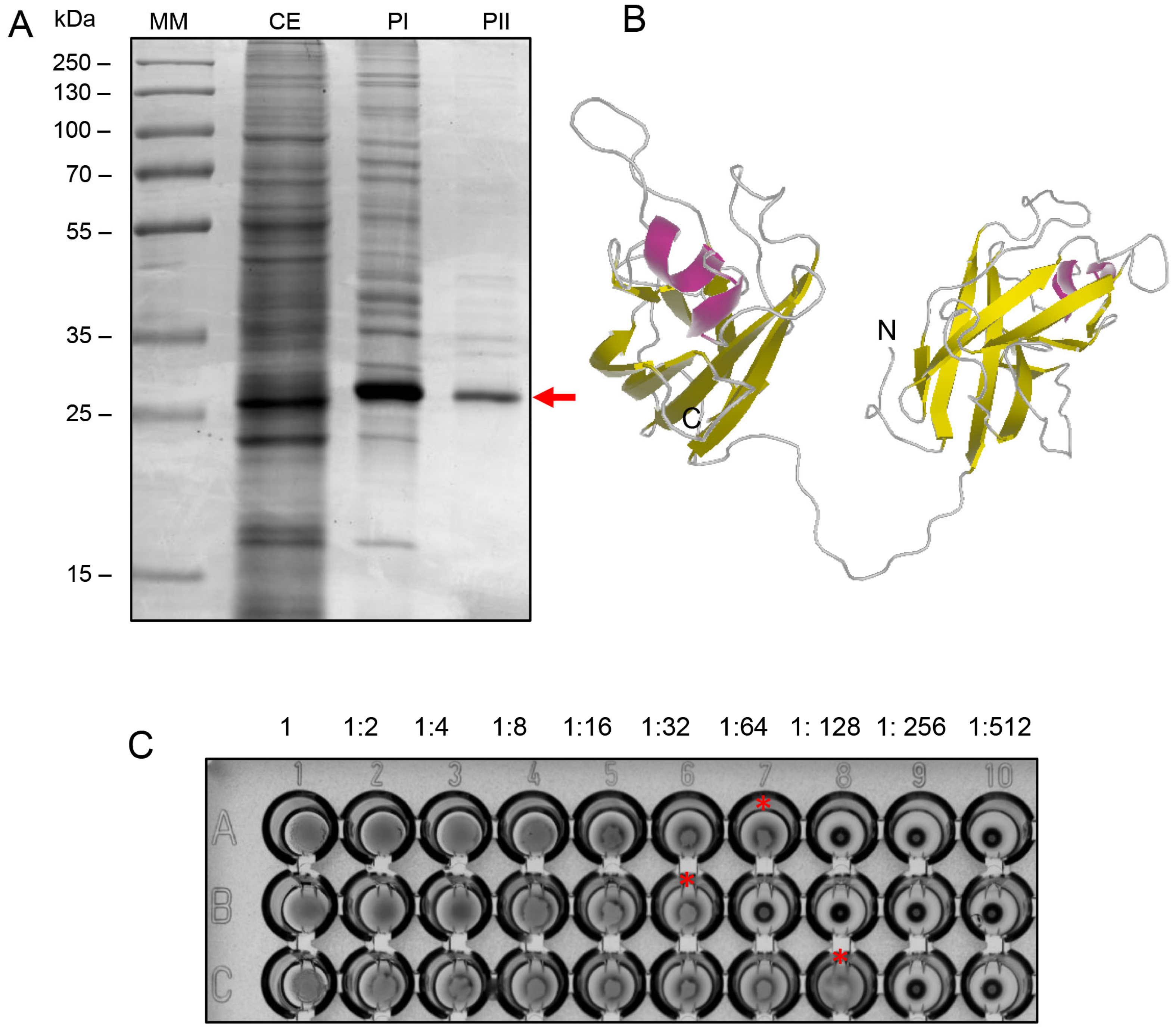 Microorganisms 13 01901 g001