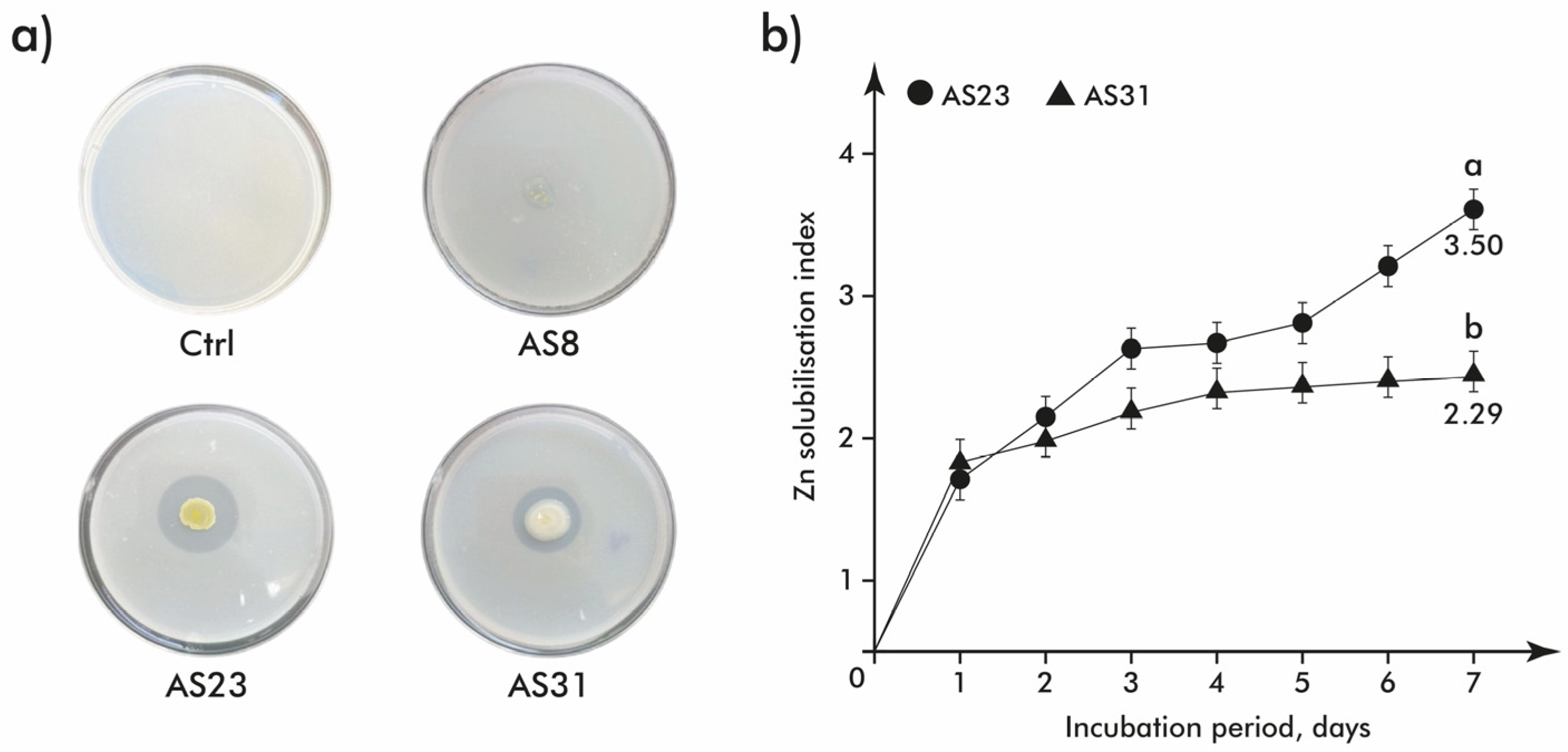Microorganisms 13 01902 g008