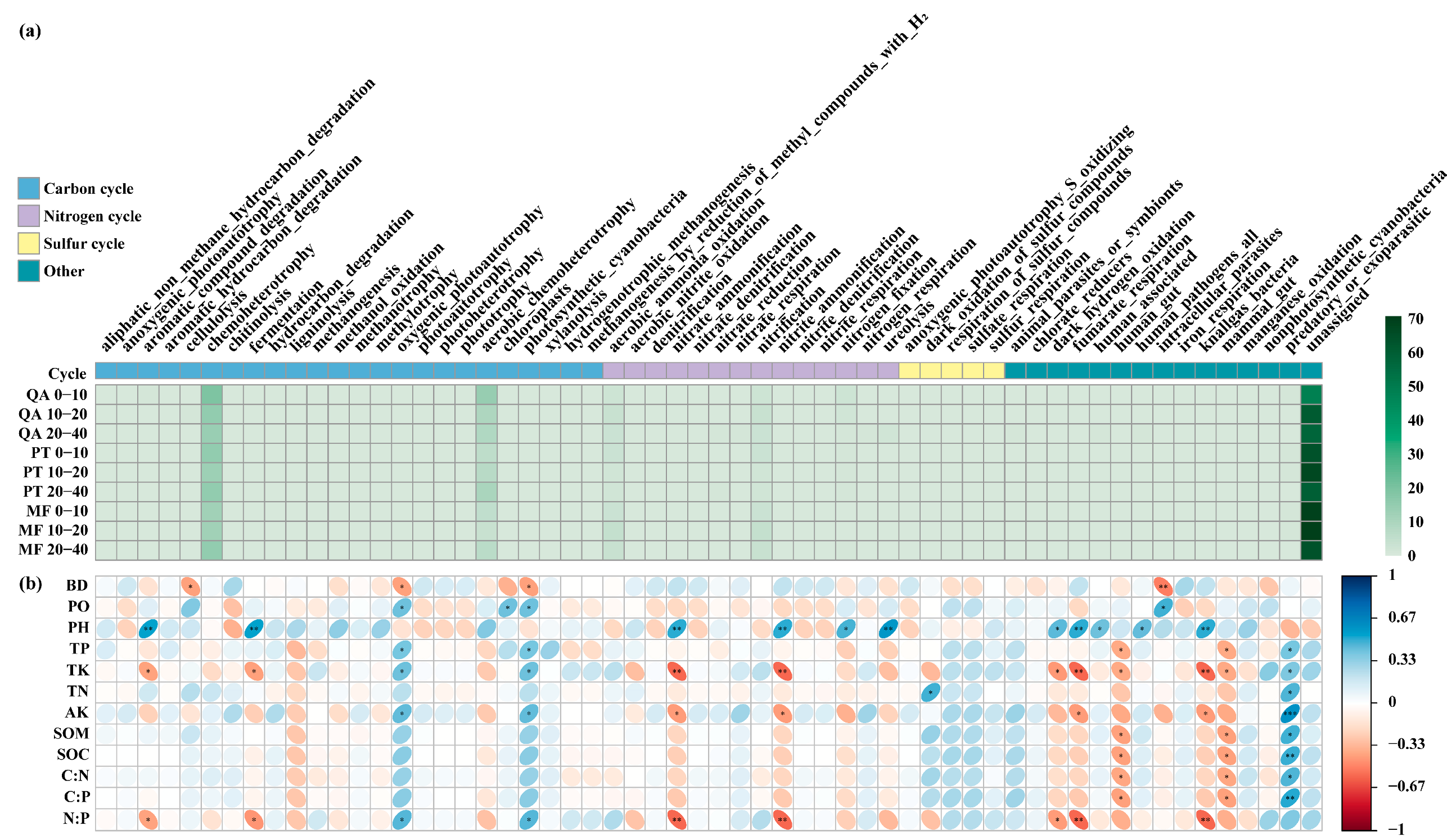 Microorganisms 13 01906 g006
