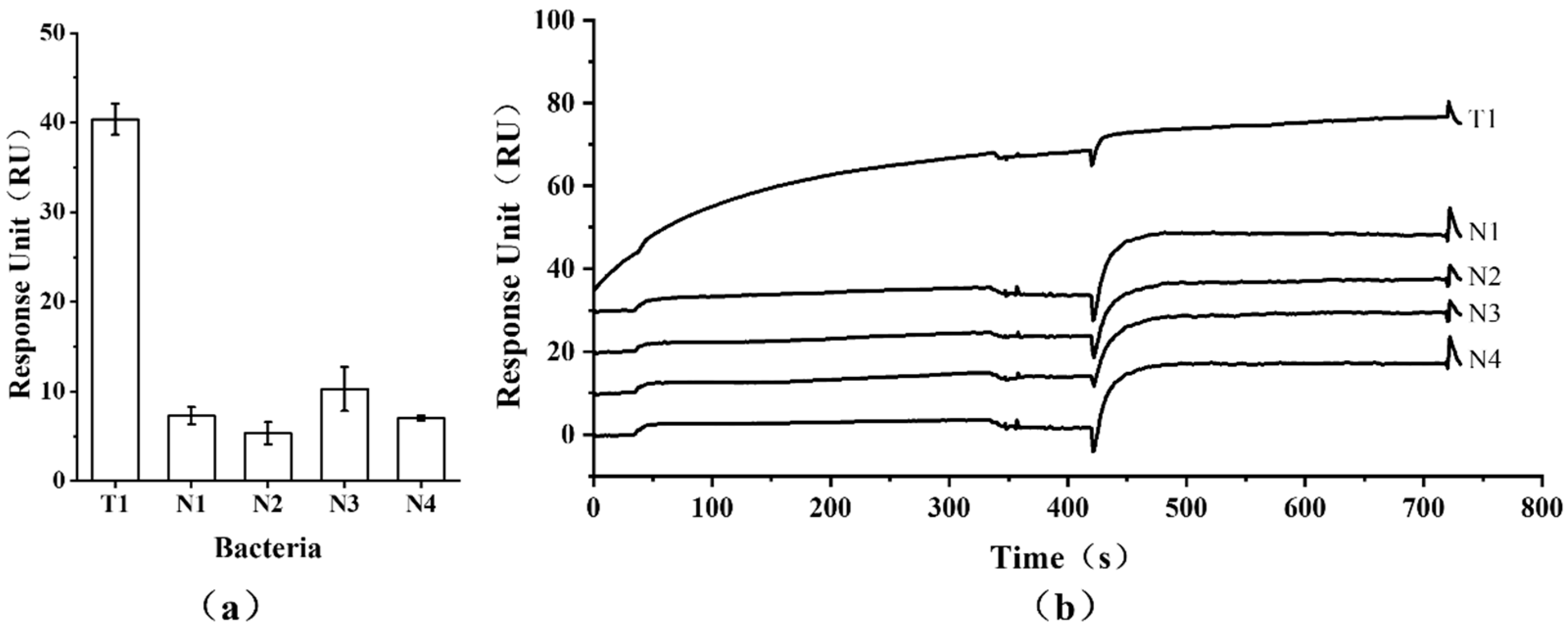 Microorganisms 13 01914 g007 Microorganisms 13 01914 g007
