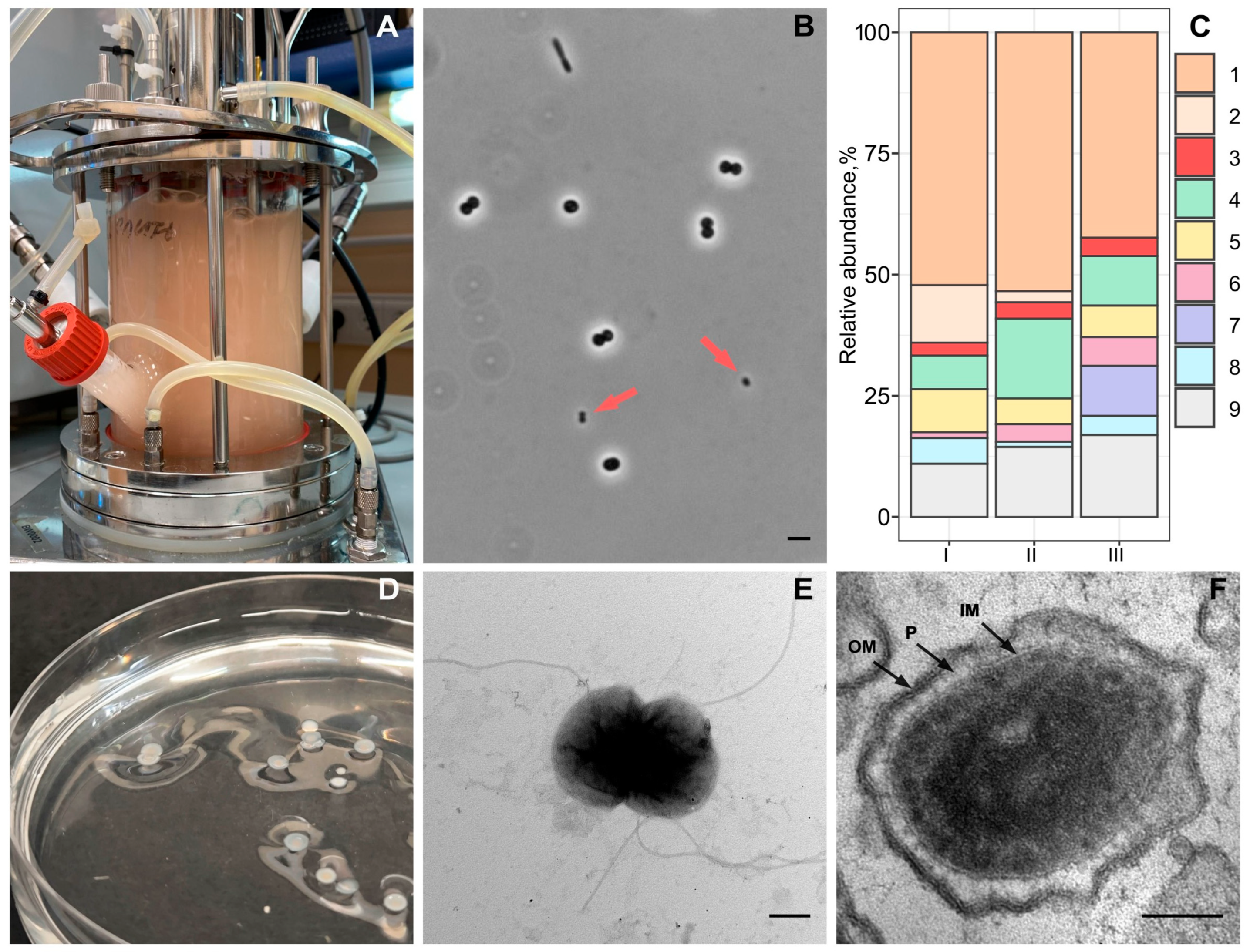 Microorganisms 13 01922 g001