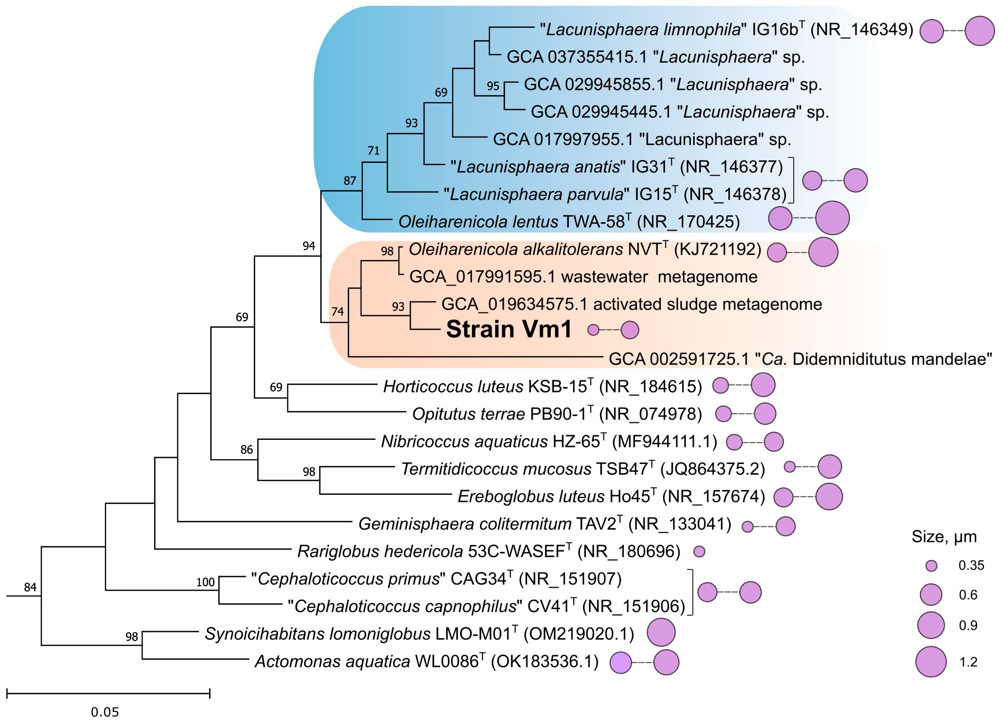 Microorganisms 13 01922 g002