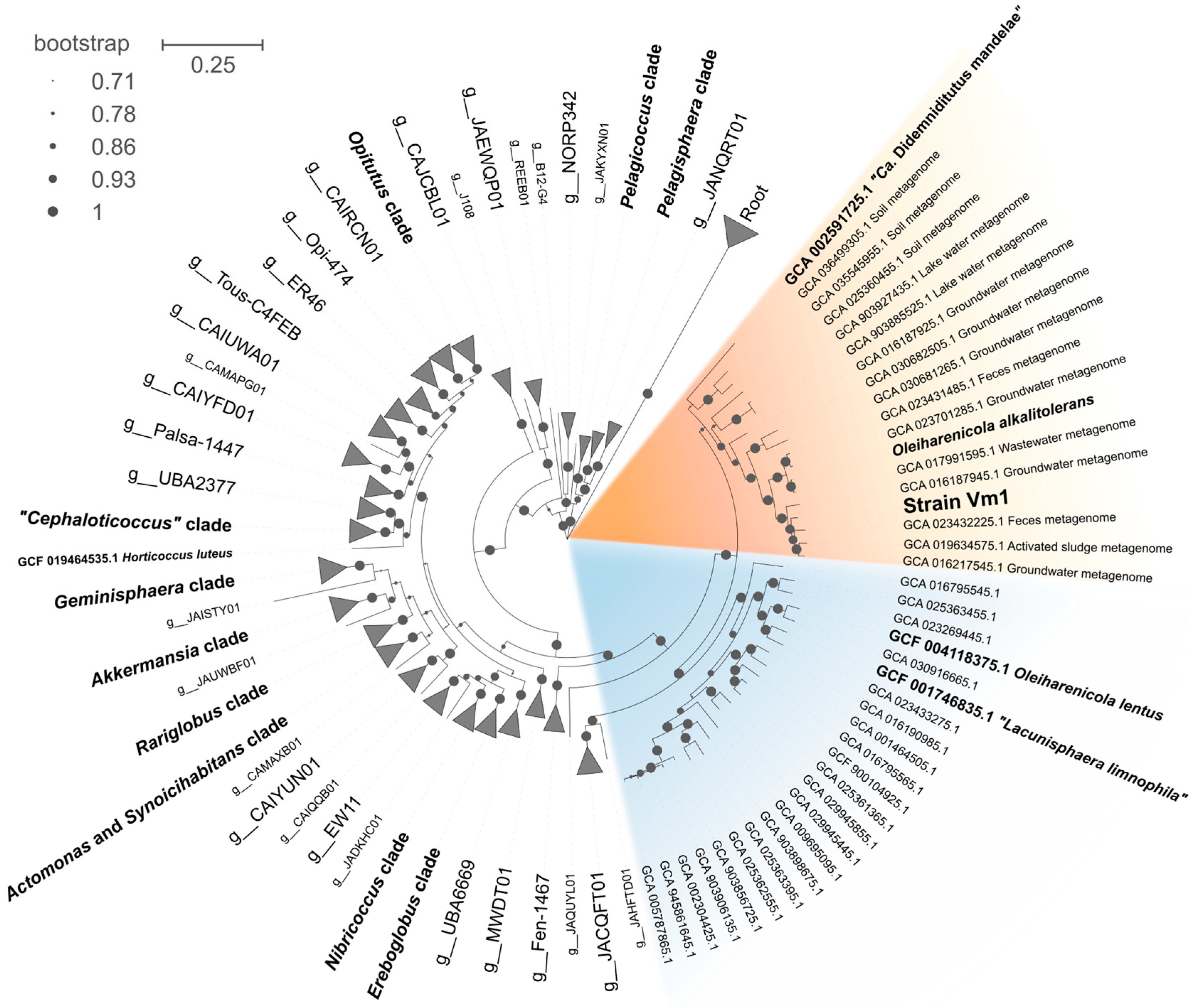 Microorganisms 13 01922 g003