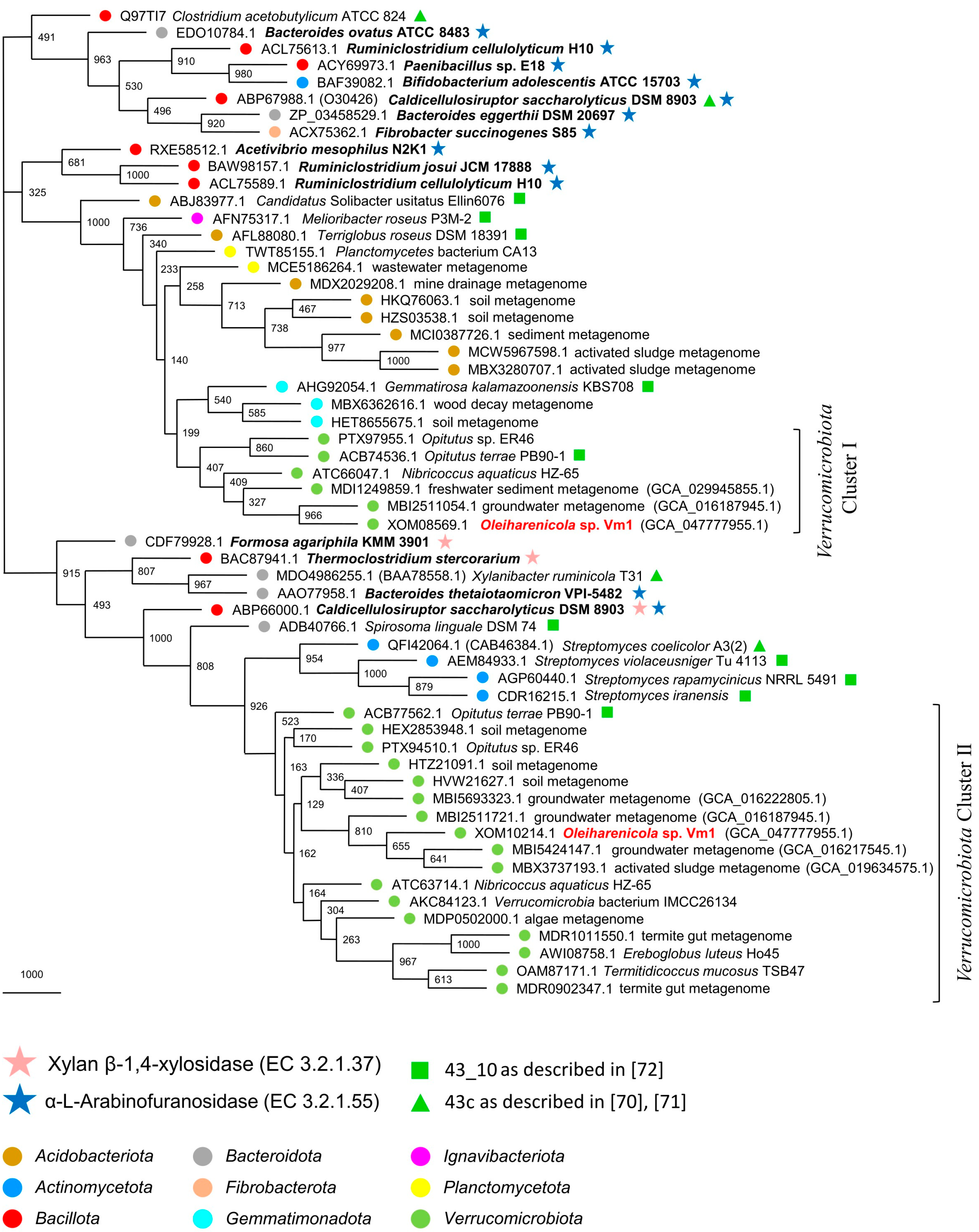 Microorganisms 13 01922 g007