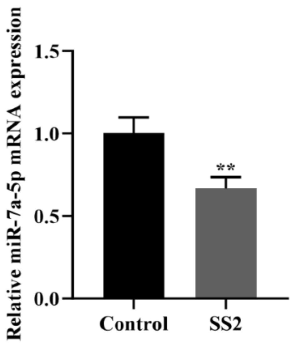 Microorganisms 13 01924 g002