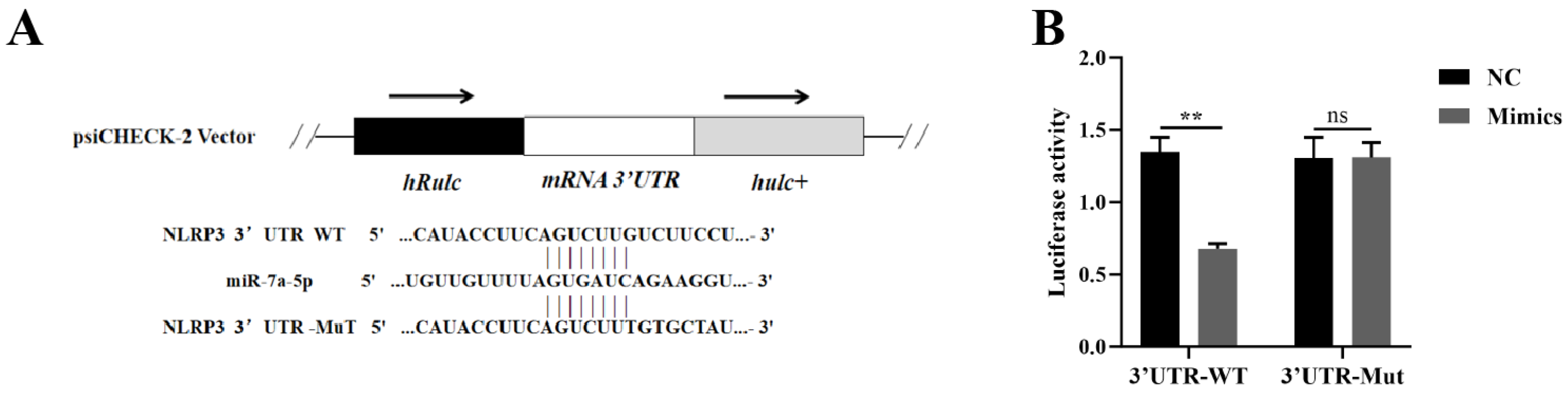 Microorganisms 13 01924 g003