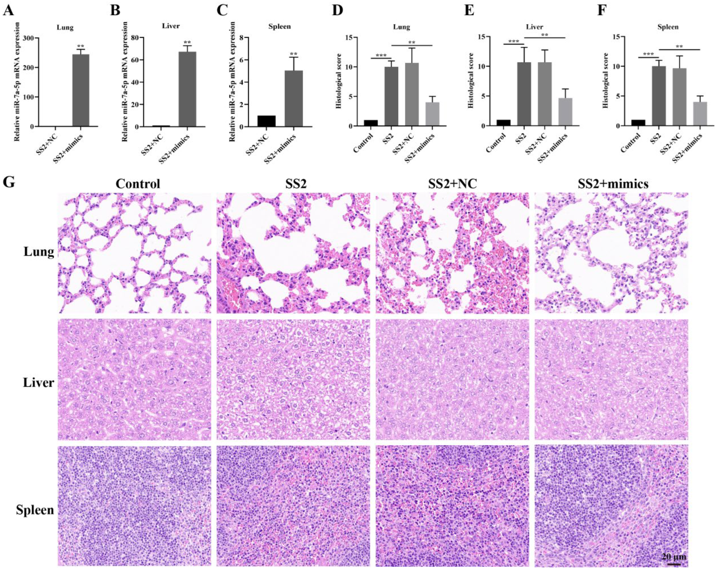Microorganisms 13 01924 g006