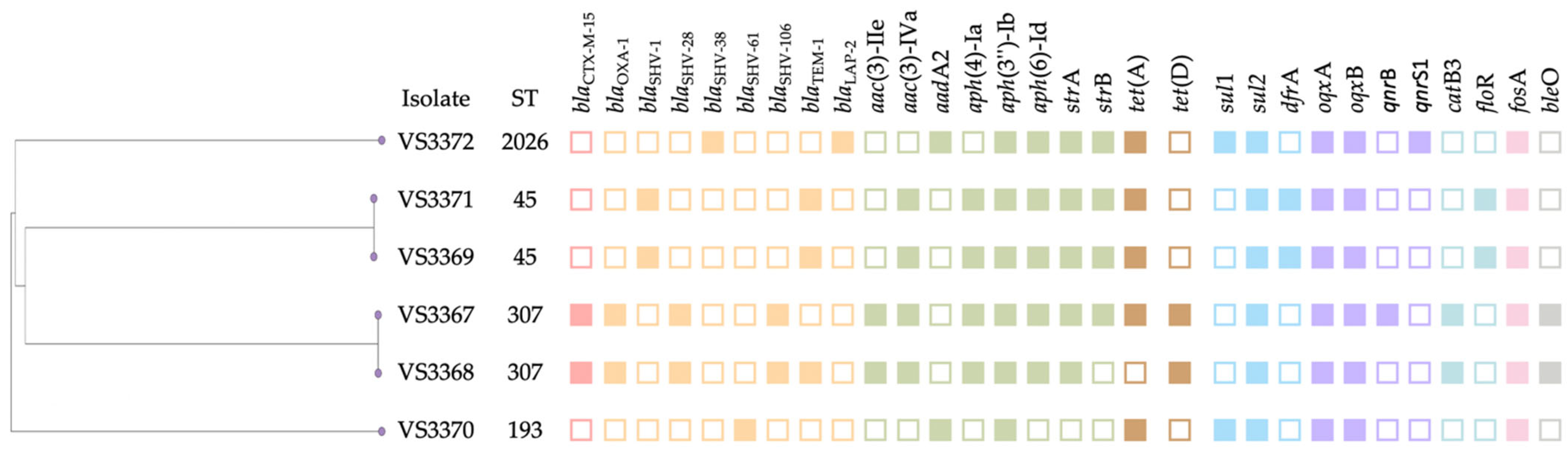 Microorganisms 13 01931 g002 Microorganisms 13 01931 g002