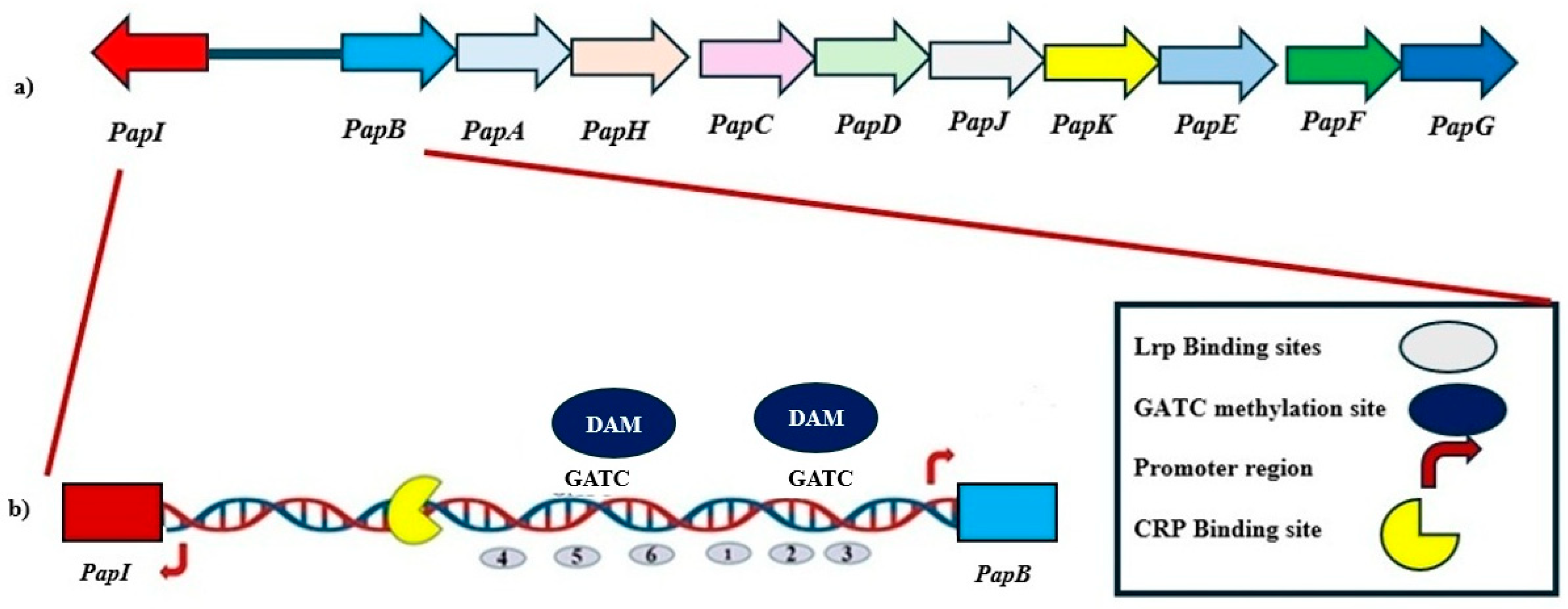 Microorganisms 13 01939 g001