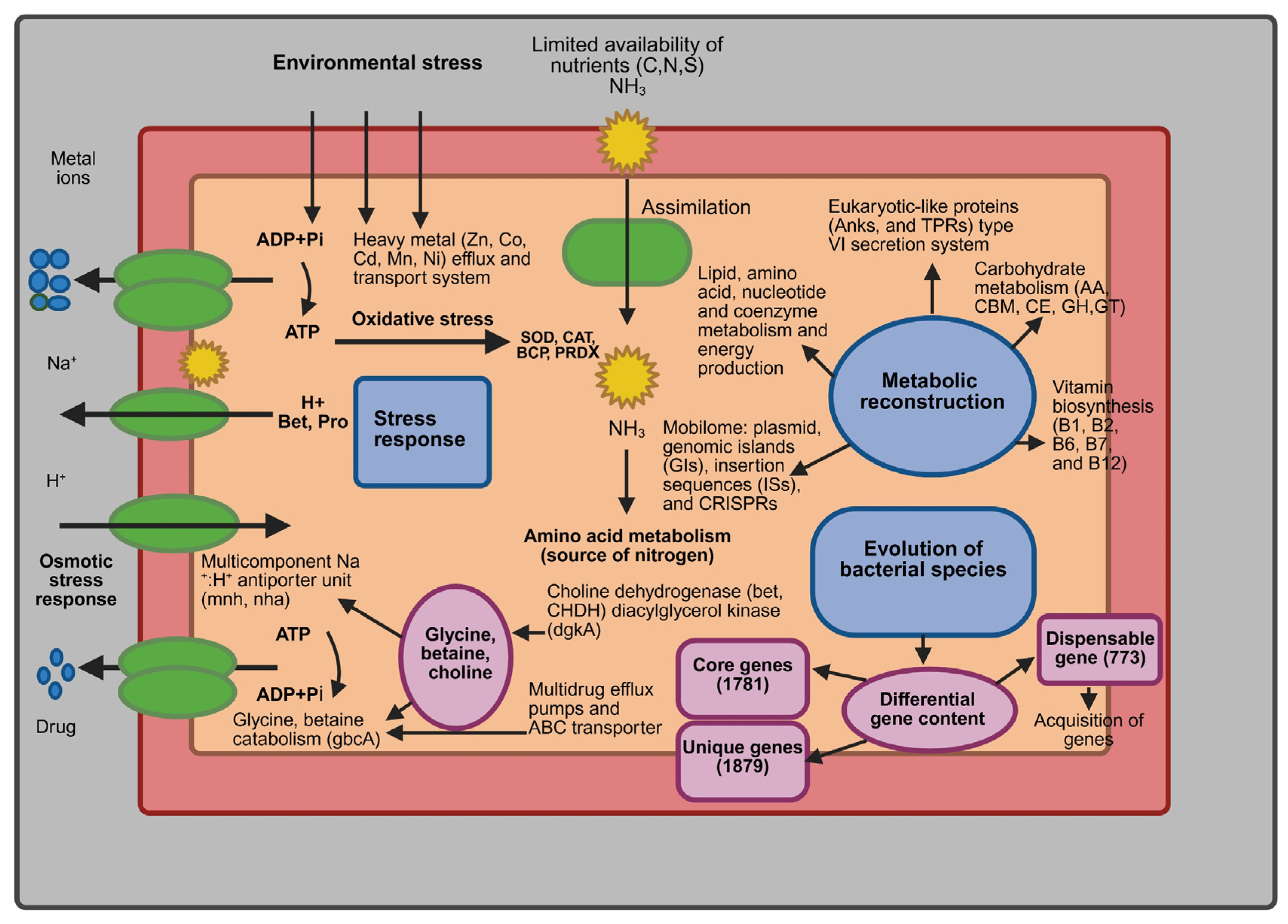 Microorganisms 13 01940 g010