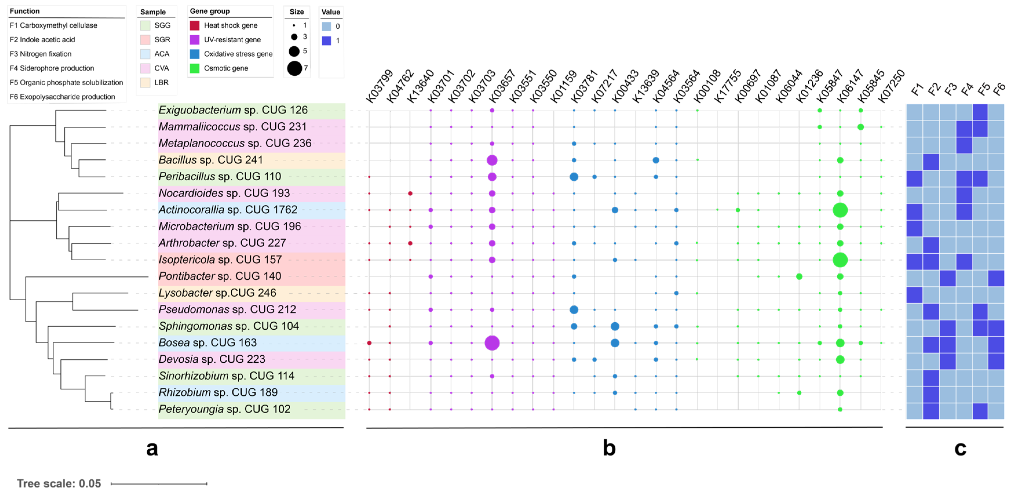Microorganisms 13 01942 g006