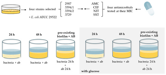 Microorganisms 13 01946 g001