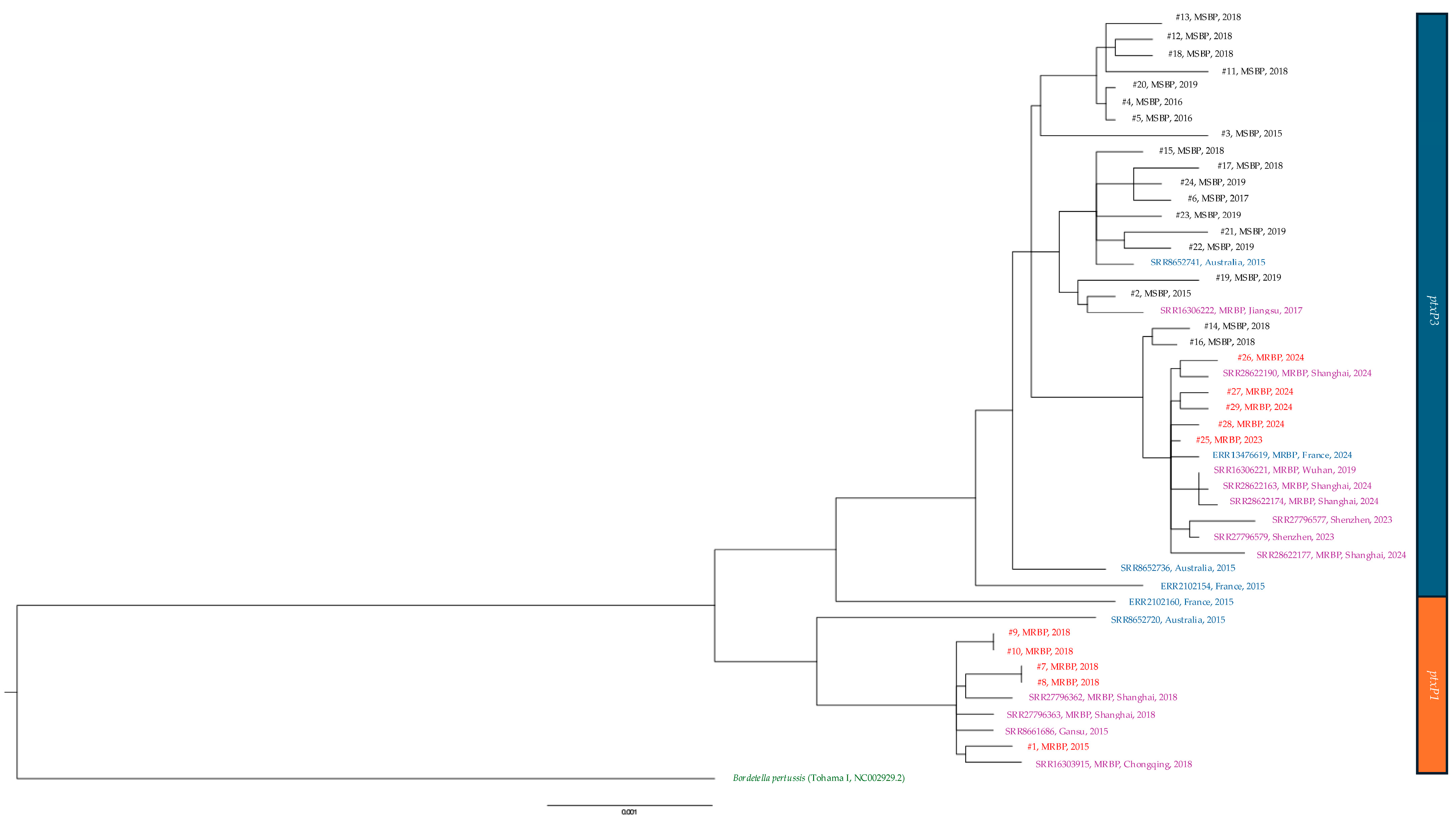 Microorganisms 13 01947 g004 Microorganisms 13 01947 g004