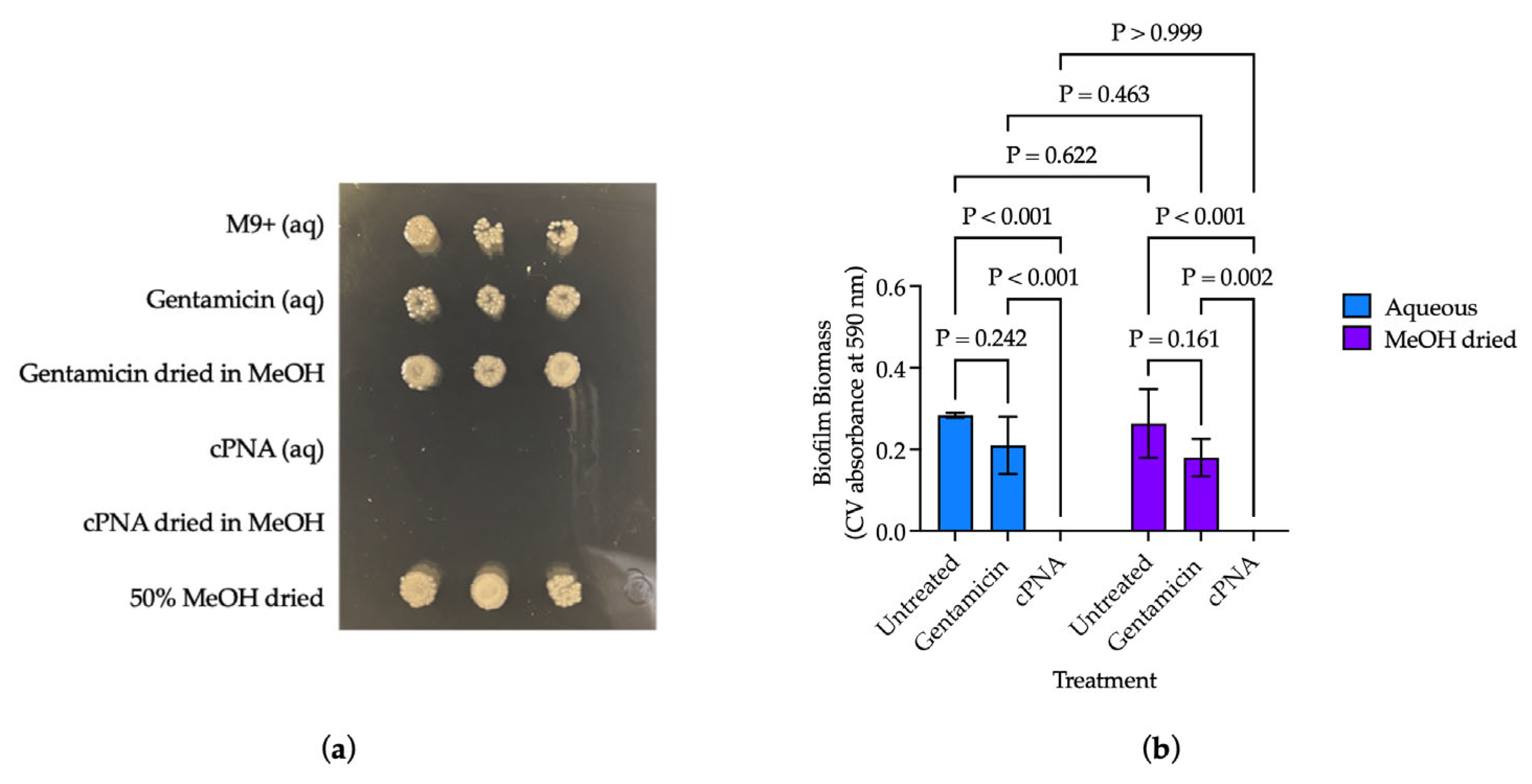 Microorganisms 13 01948 g004