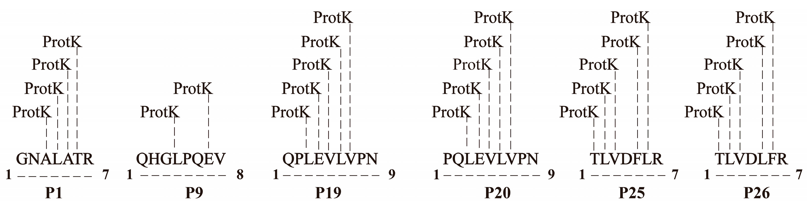 Microorganisms 13 01951 g003