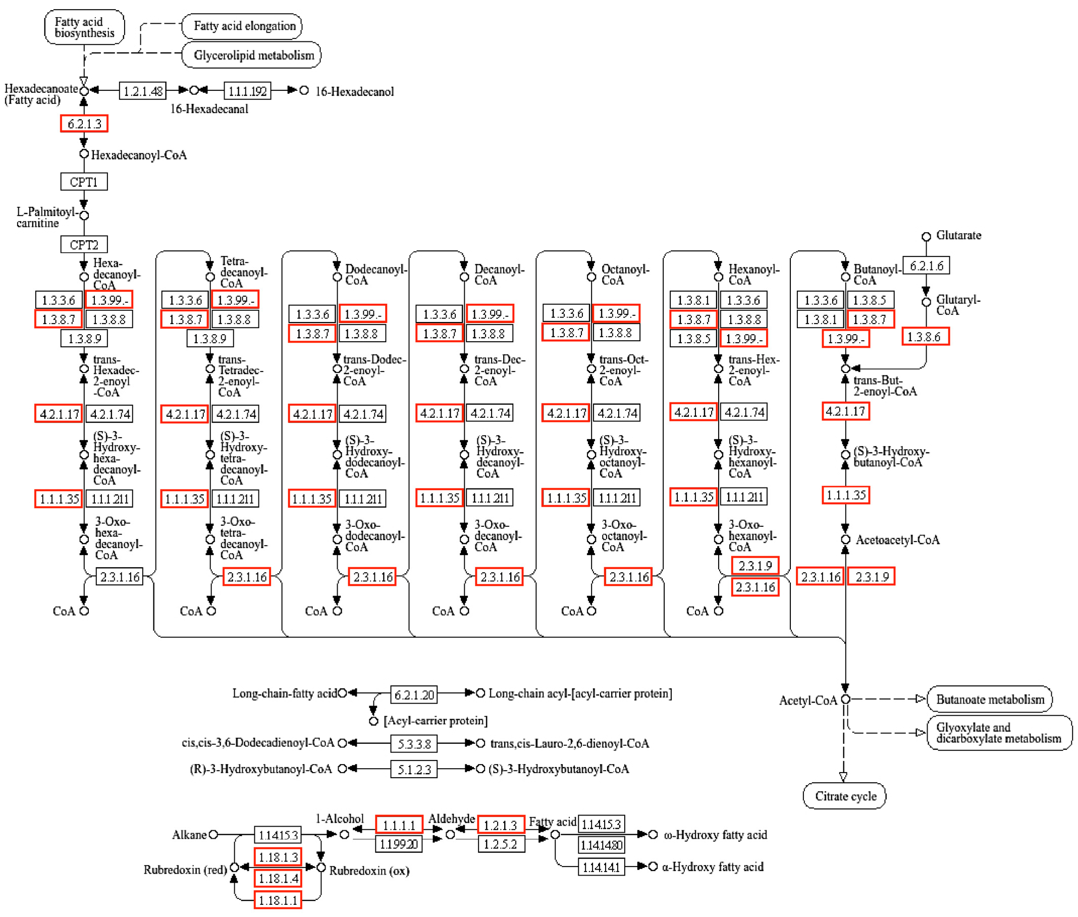 Microorganisms 13 01953 g001