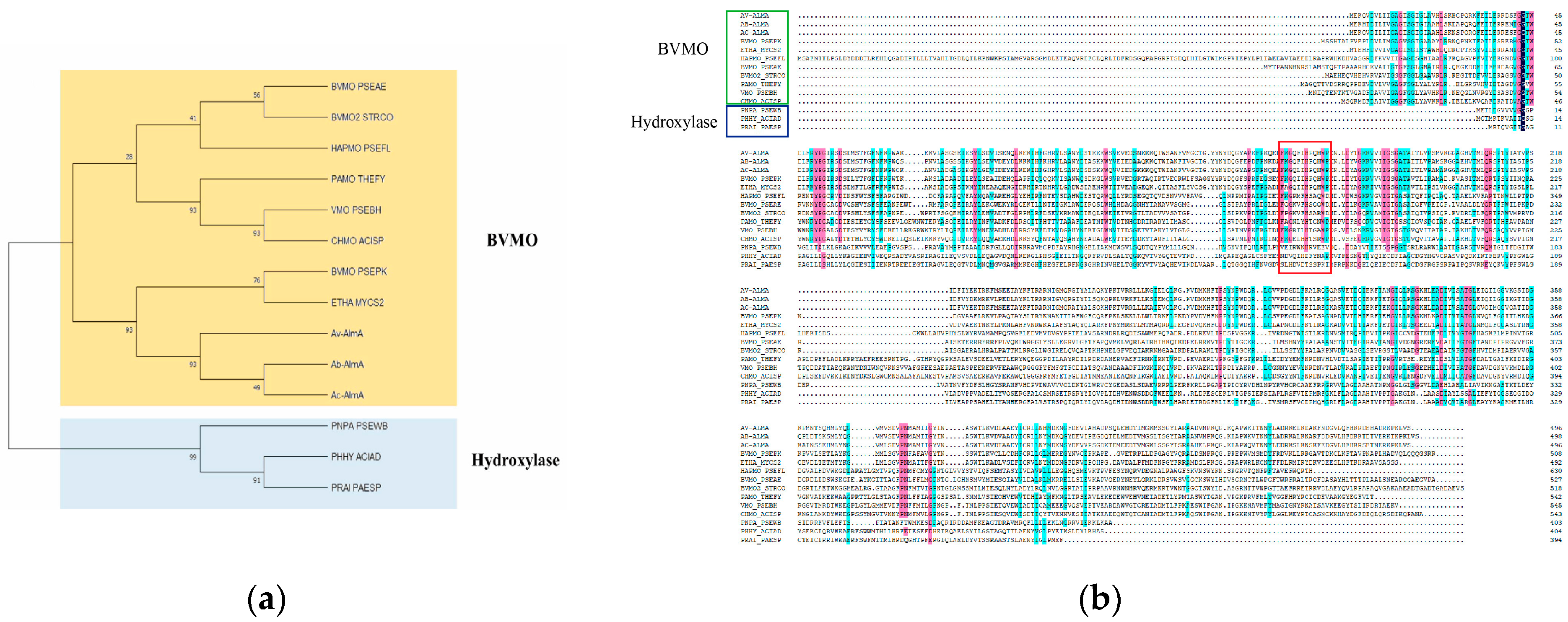 Microorganisms 13 01953 g002