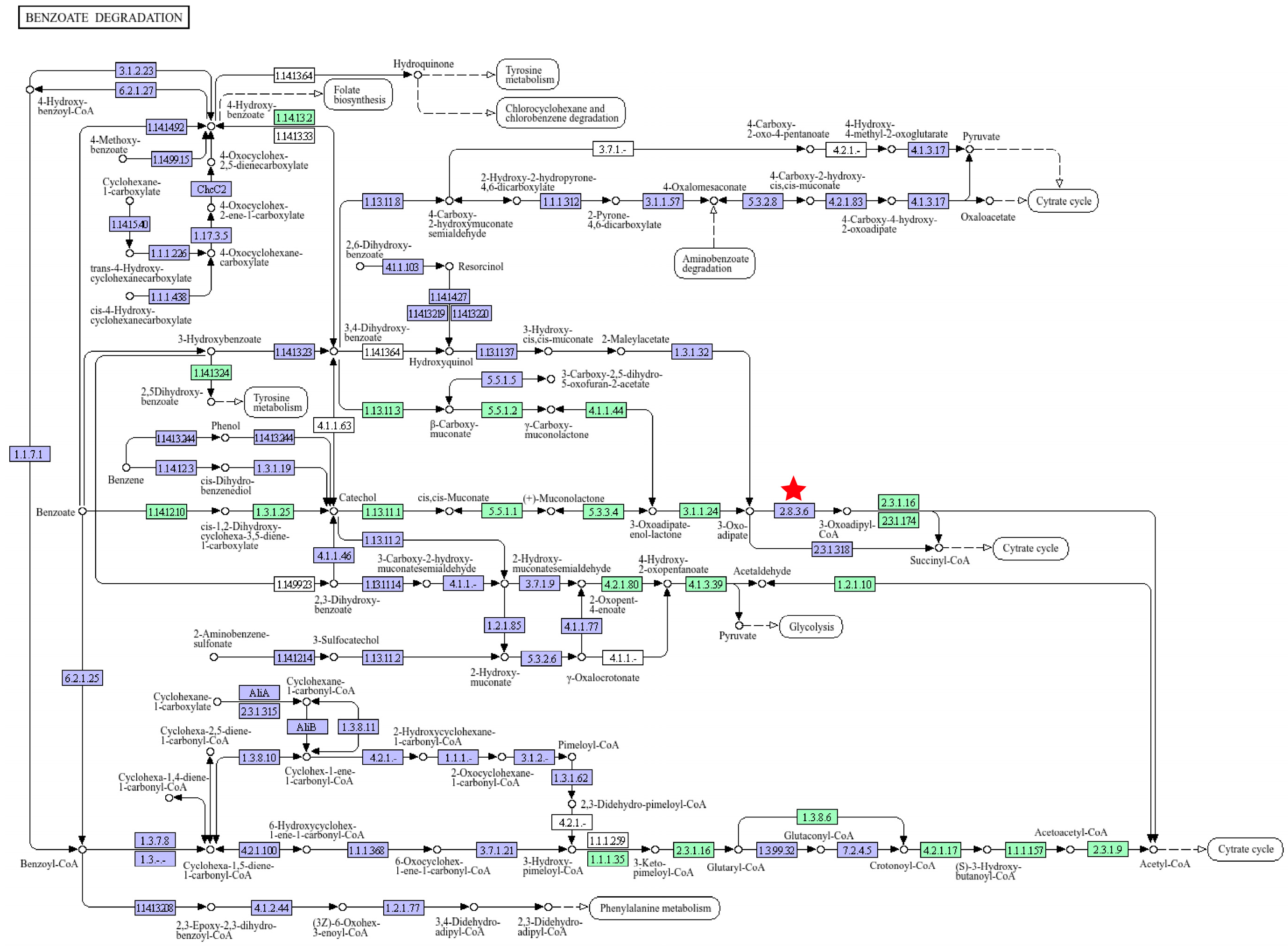 Microorganisms 13 01953 g003