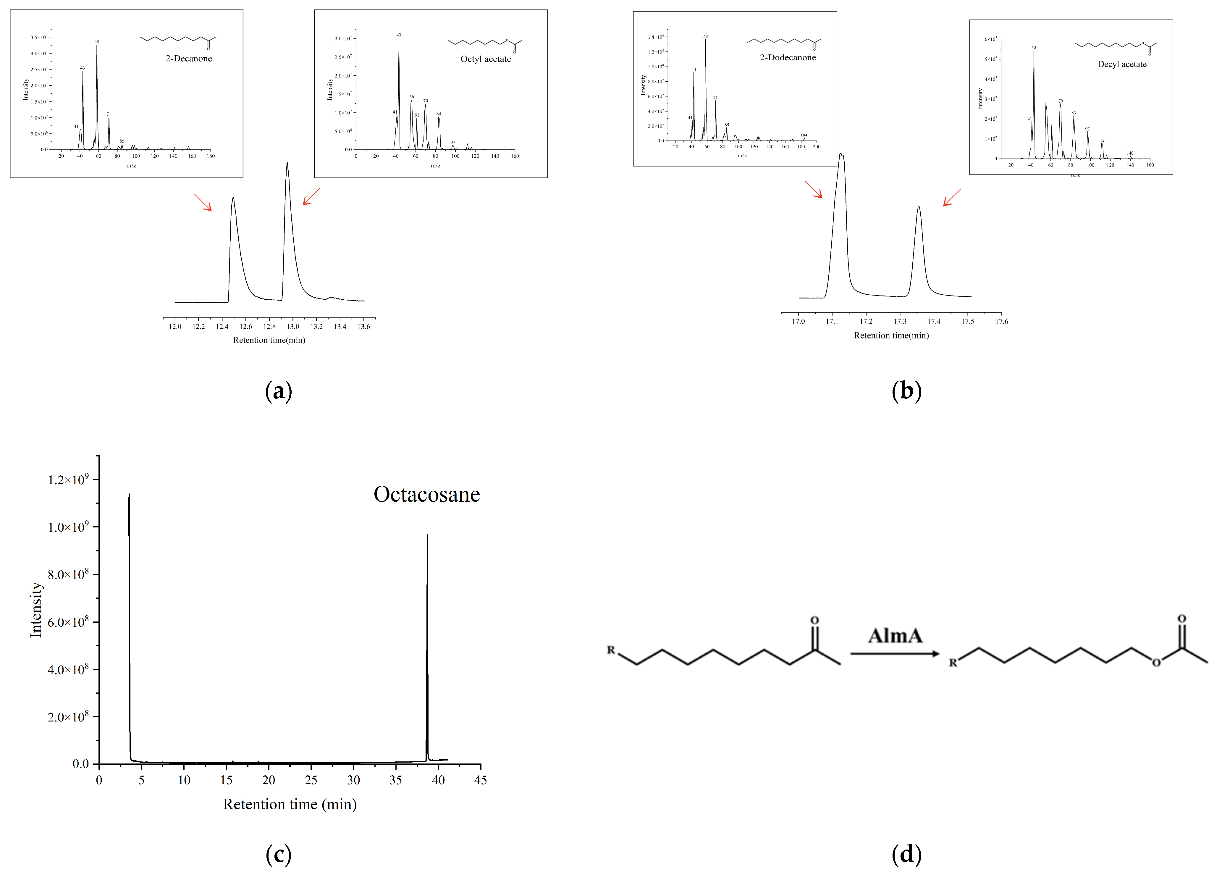 Microorganisms 13 01953 g008