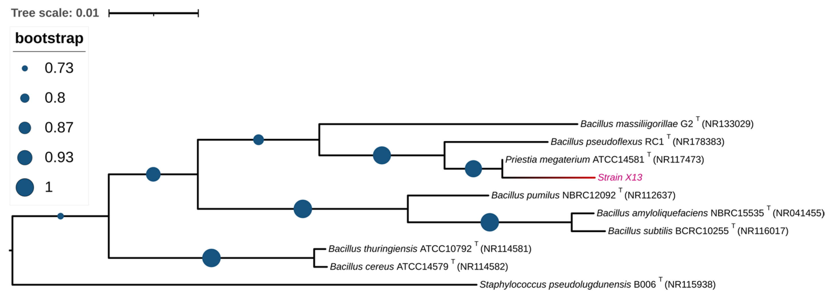 Microorganisms 13 01954 g002
